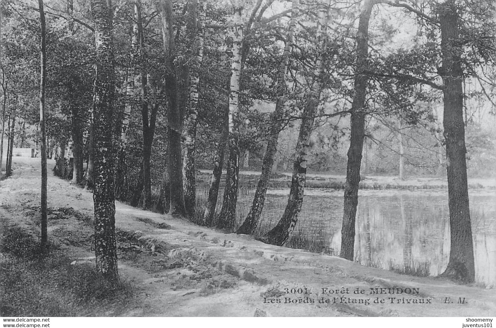 CPA Forêt De Meudon-Les Bords De L'étang De Trivaux      L2265 - Meudon