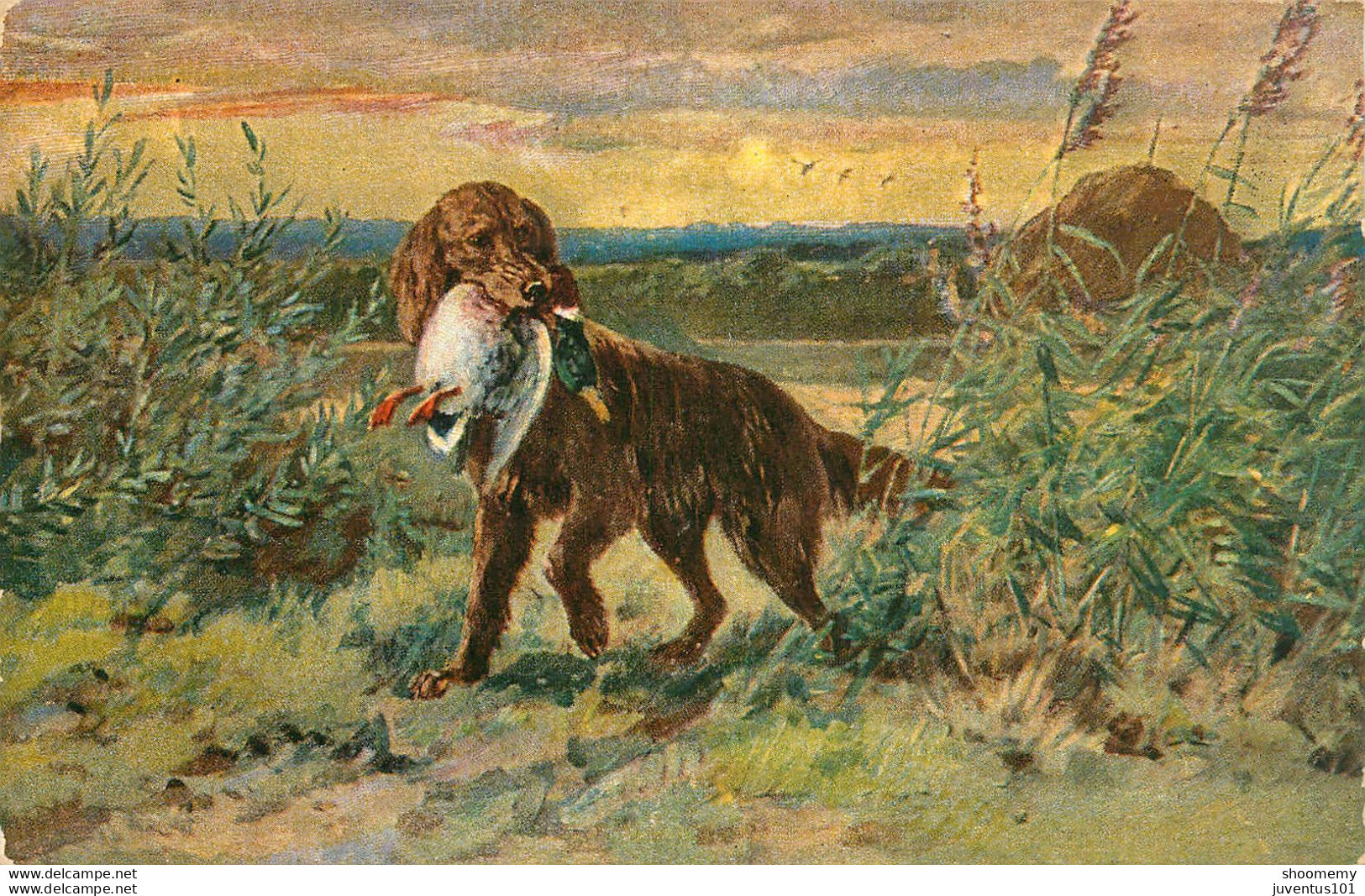 CPA Chasse-Chien-Timbre      L1952 - Chasse