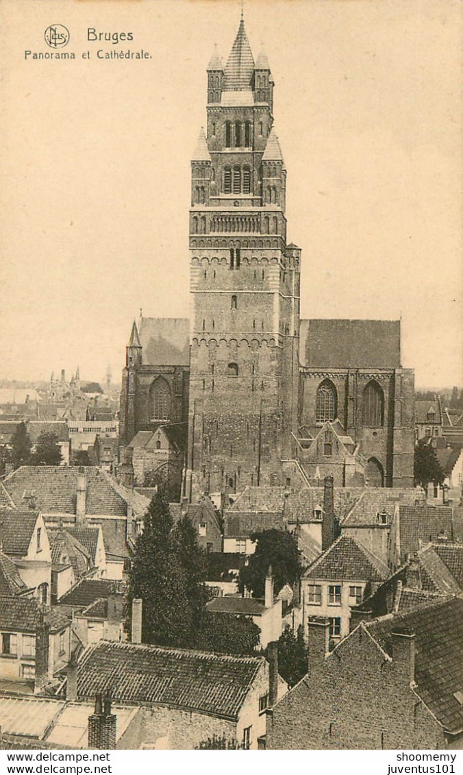 CPA Bruges-Panorama Et Cathédrale      L1988 - Brugge