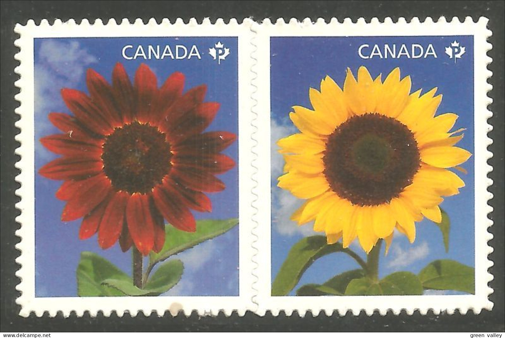 Canada Sunflowers Tournesols Annual Collection Annuelle MNH ** Neuf SC (C24-44ib) - Met Mechanische Systemen