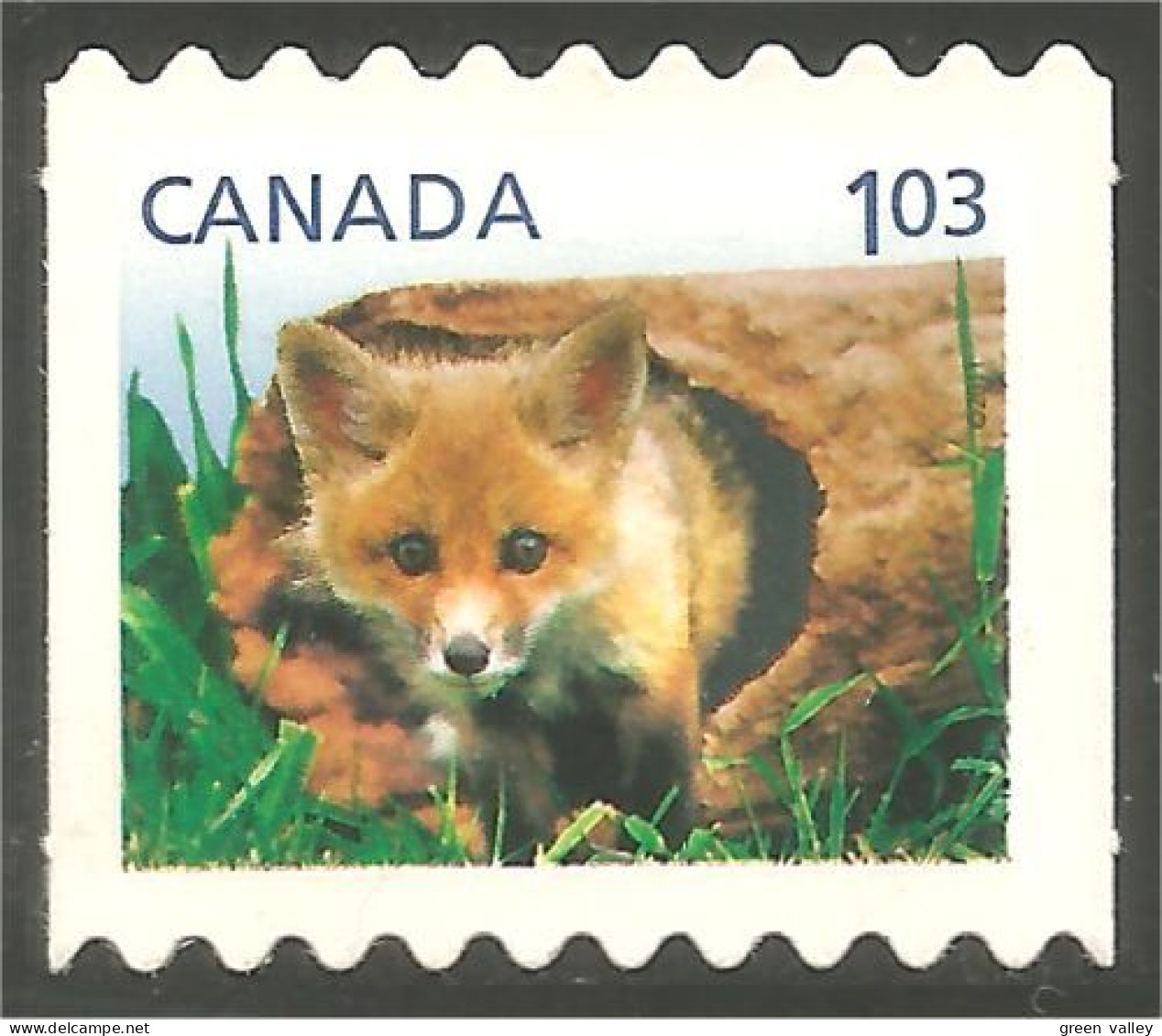 Canada Red Fox Renard Roux Roter Fuchs MNH ** Neuf SC (C24-27a) - Neufs