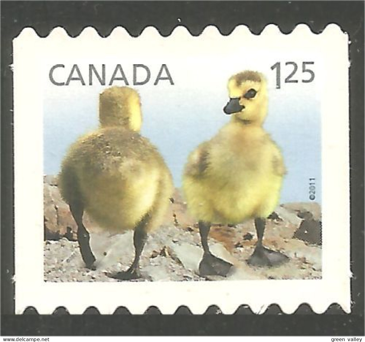 Canada Geese Oies Gans Gansa Oca MNH ** Neuf SC (C24-28a) - Nuevos