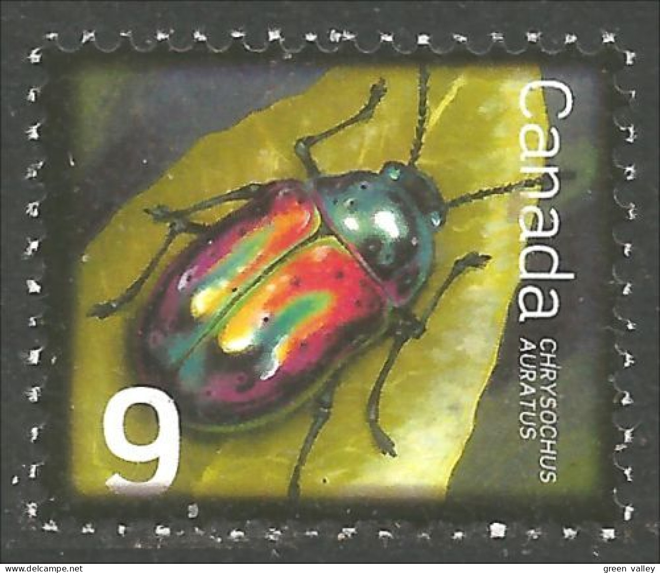 Canada Insecte Insect Insekt Dogbane Beetle Chrysomèle MNH ** Neuf SC (C24-10c) - Other & Unclassified