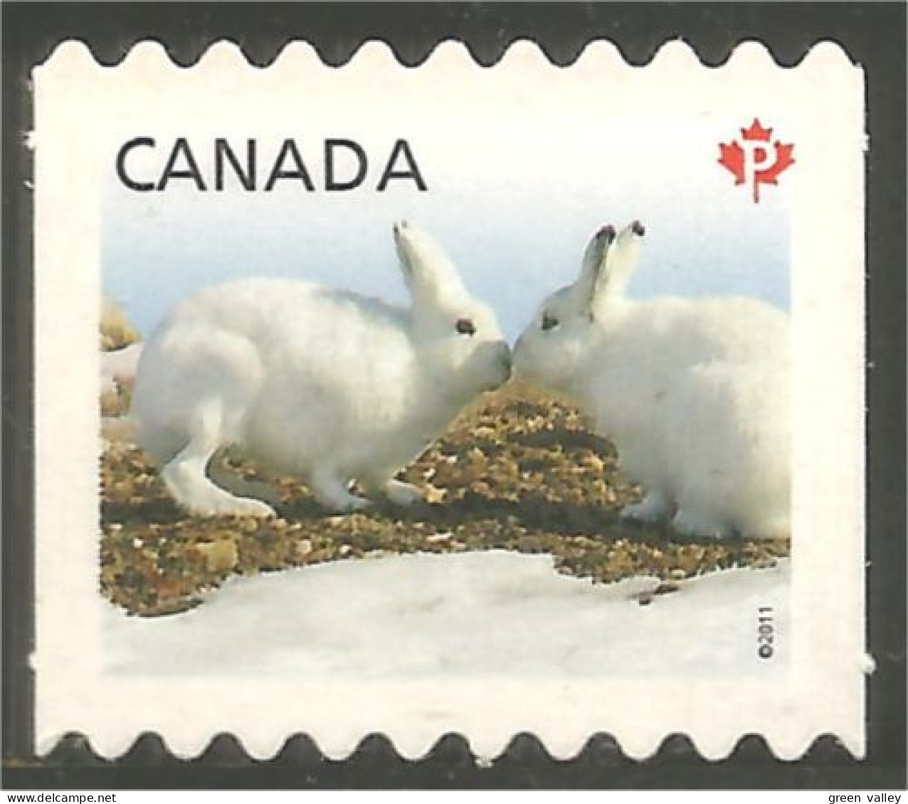 Canada Lapin Rabbit Artic Hare Lièvre Arctique Kaninchen Annual Collection Annuelle MNH ** Neuf SC (C24-26iia) - Nuevos