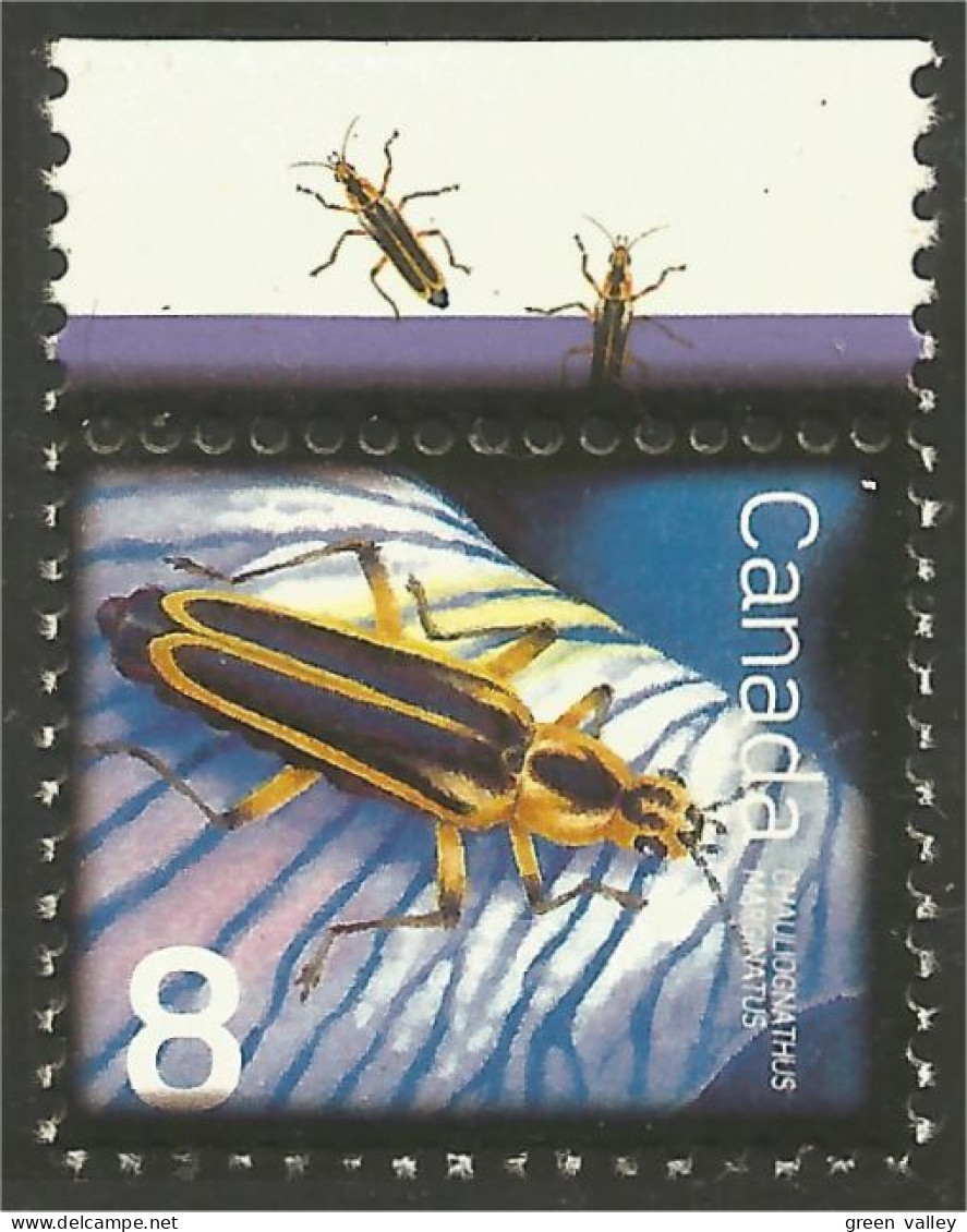 Canada Insecte Insect Insekt Leatherwing Cantharide Lederflügel MNH ** Neuf SC (C24-09bf) - Nuevos