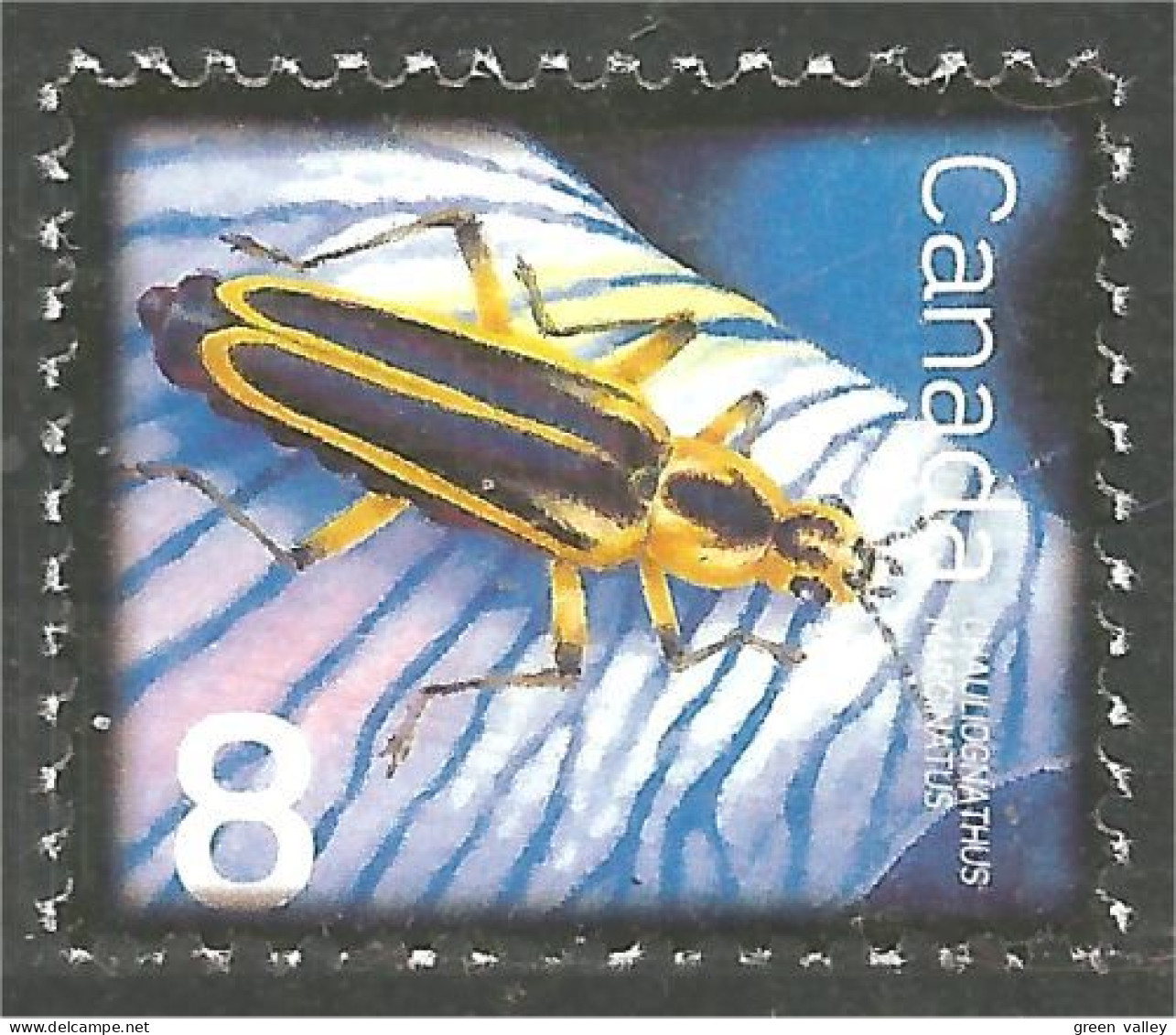 Canada Insecte Insect Insekt Leatherwing Cantharide Lederflügel MNH ** Neuf SC (C24-09a) - Nuevos