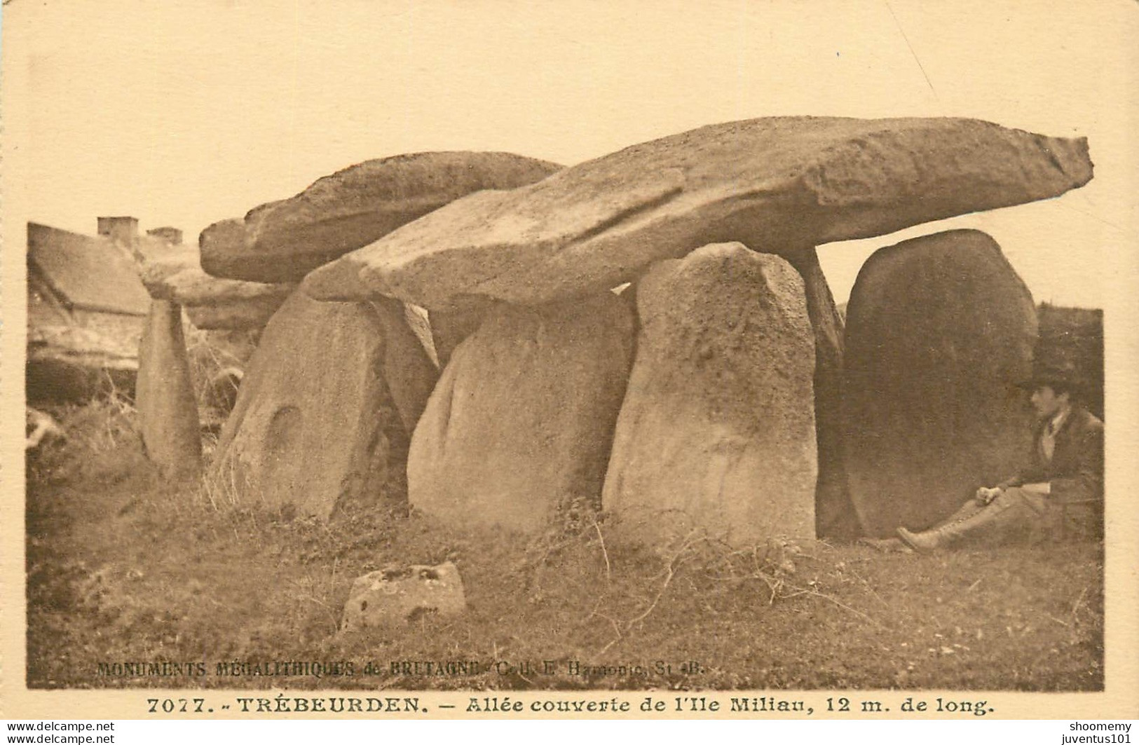 CPA Trébeurden-Allée Couverte De L'ile Miliau-7077      L2236 - Trébeurden