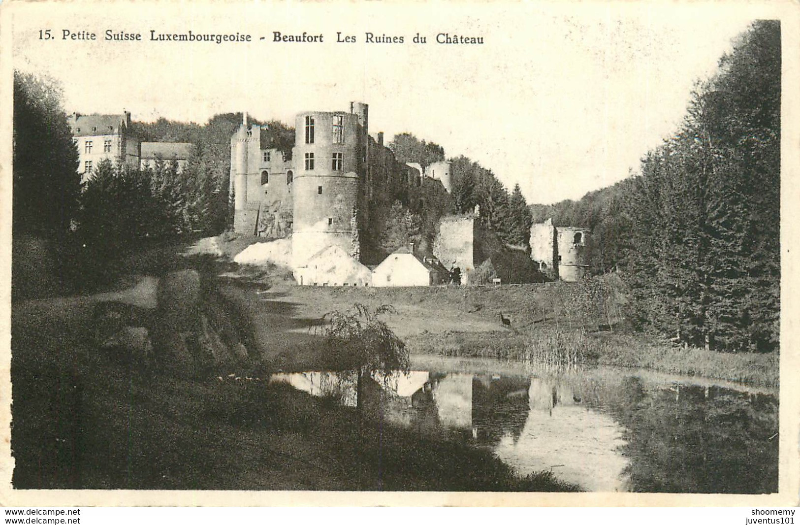 CPA Petite Suisse Luxembourgeoise-Beaufort-Les Ruines Du Château      L1584 - Sonstige & Ohne Zuordnung