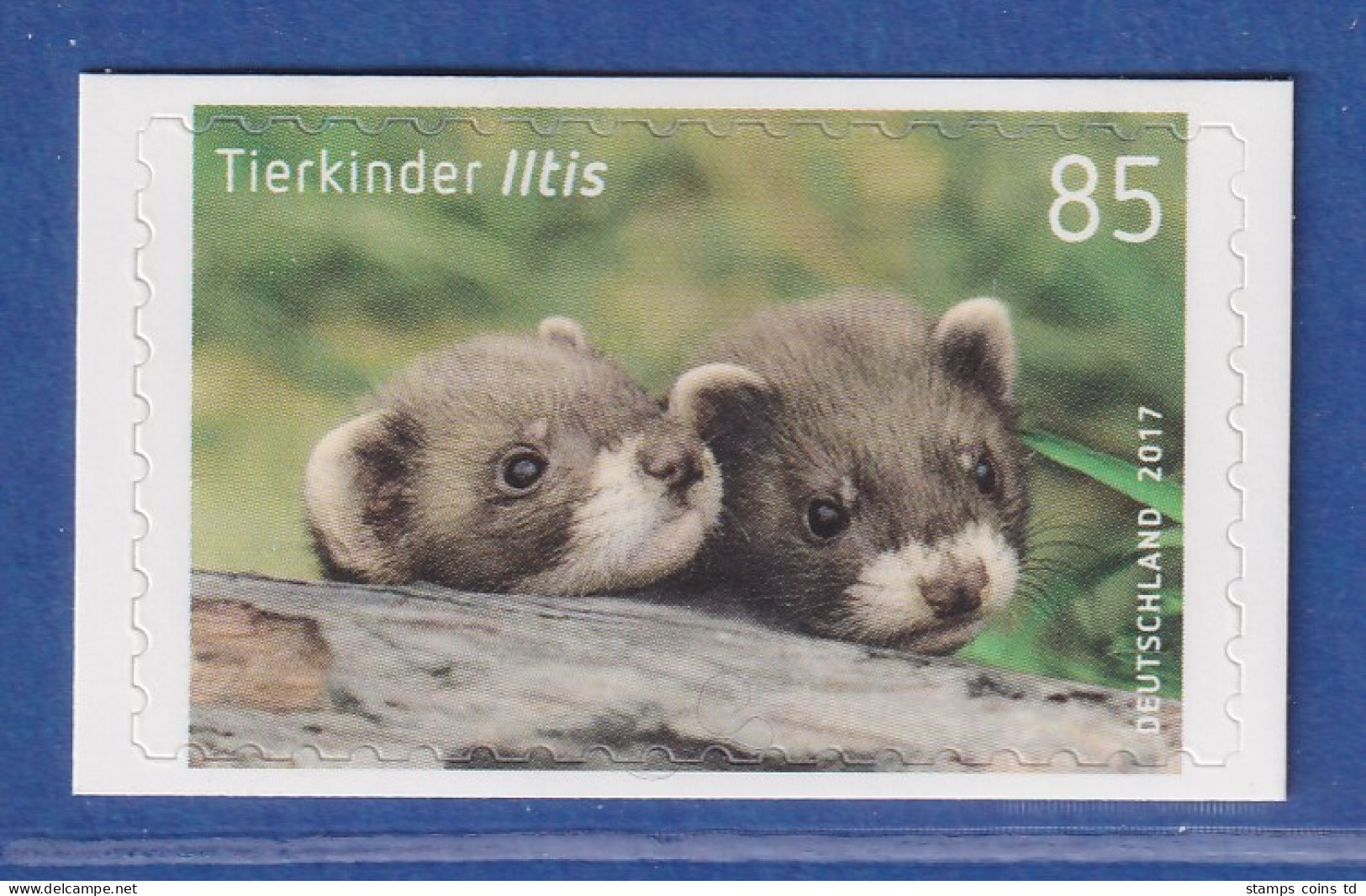 Bund 2017 Tierkinder Iltis 85Cent SELBSTKLEBEND Mi-Nr. 3294 ** - Sonstige & Ohne Zuordnung