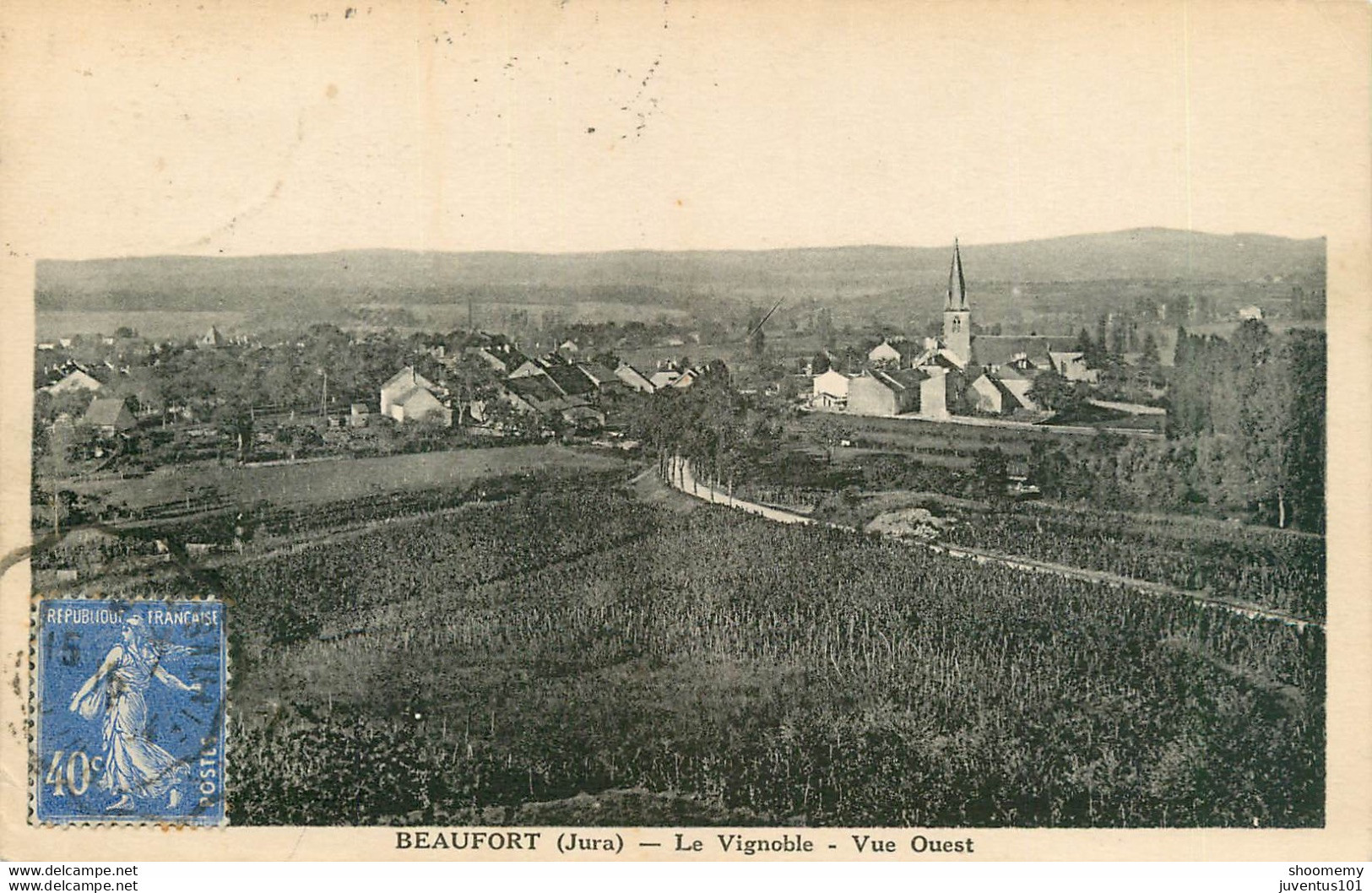 CPA Beaufort-Le Vignoble-Vue Ouest-Timbre      L1593 - Beaufort
