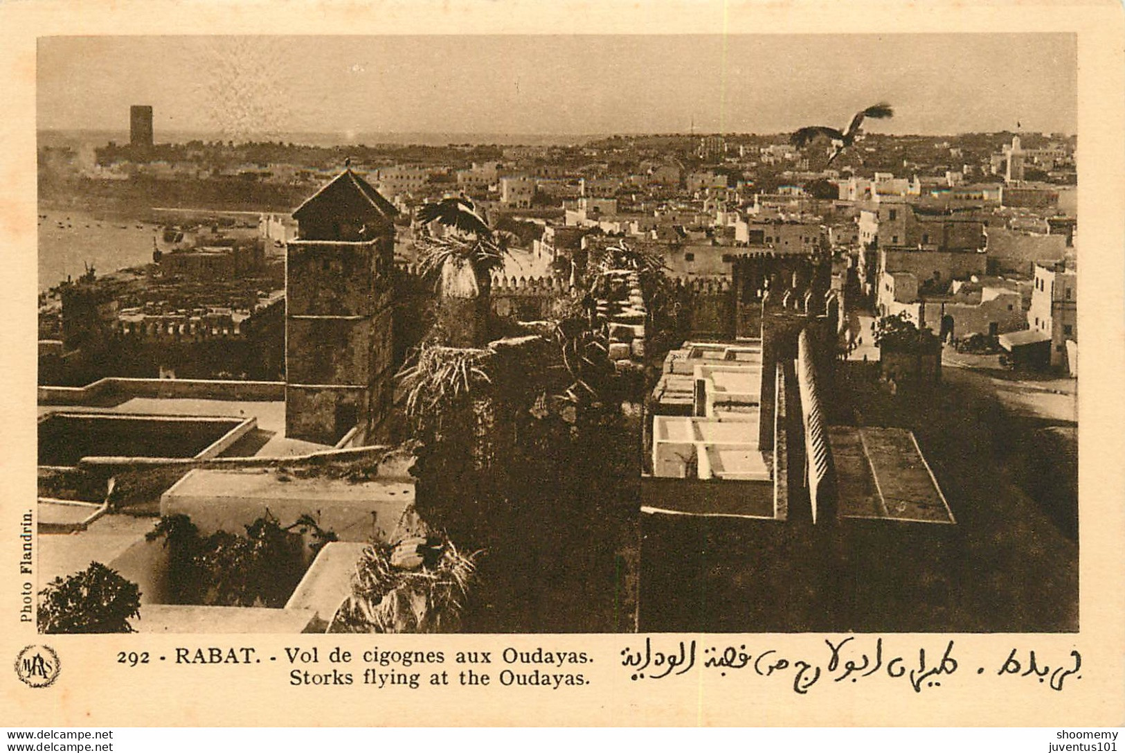 CPA Rabat-Vol De Cigognes Aux Oudayas-292       L1638 - Marrakesh