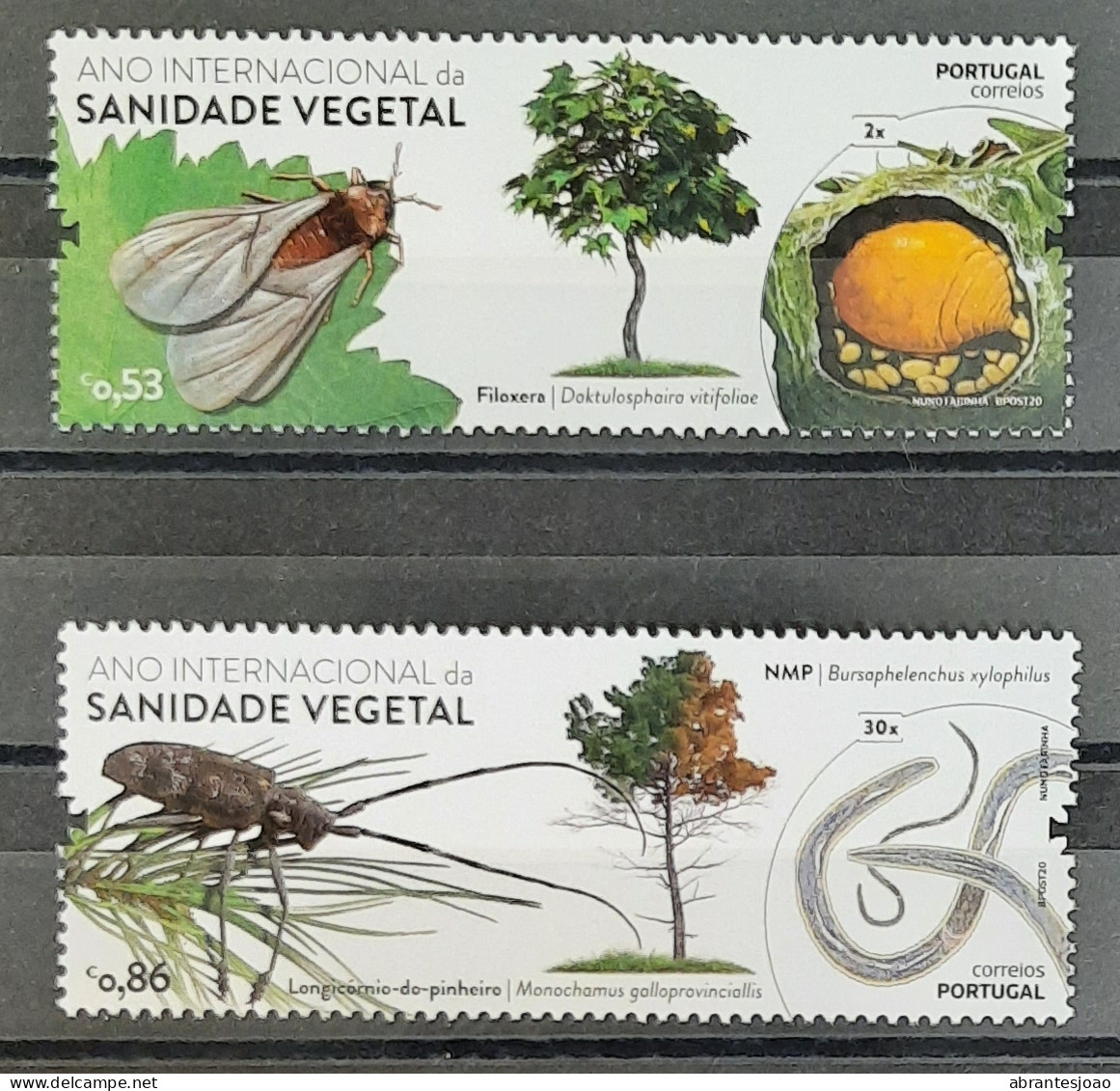 2020 - Portugal - MNH - International Year Of Vegetable Sanitation - 4 Stamps - Unused Stamps