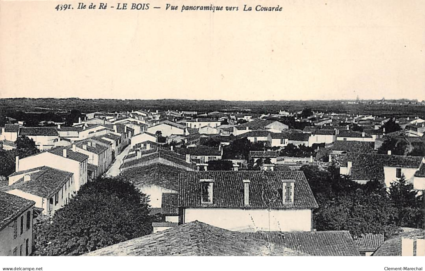 ILE DE RE - LE BOIS - Vue Panoramique Vers La Couarde - Très Bon état - Ile De Ré