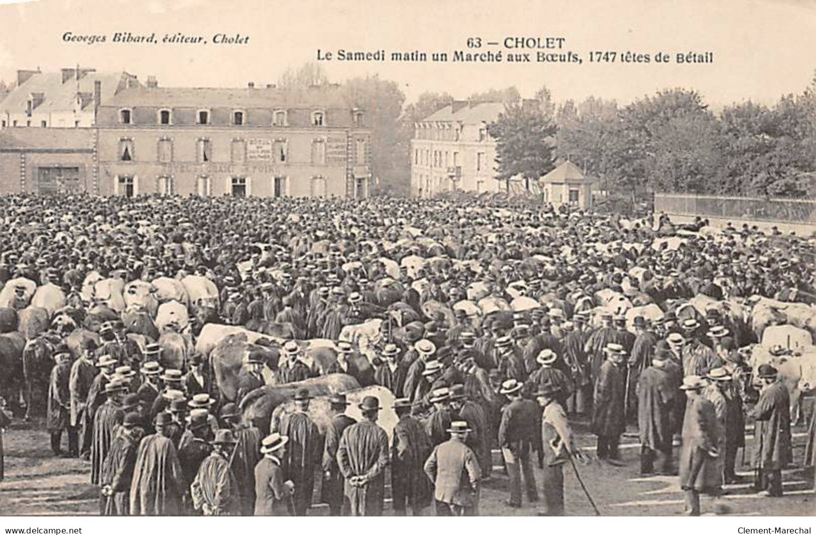 CHOLET - Le Samedi Matin Un Marché Aux Boeufs, 1747 Têtes De Bétail - Très Bon état - Cholet