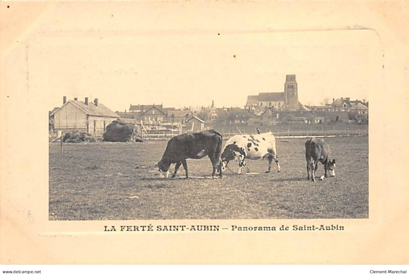 LA FERTE SAINT AUBIN - Panorama De Saint Aubin - Très Bon état - La Ferte Saint Aubin