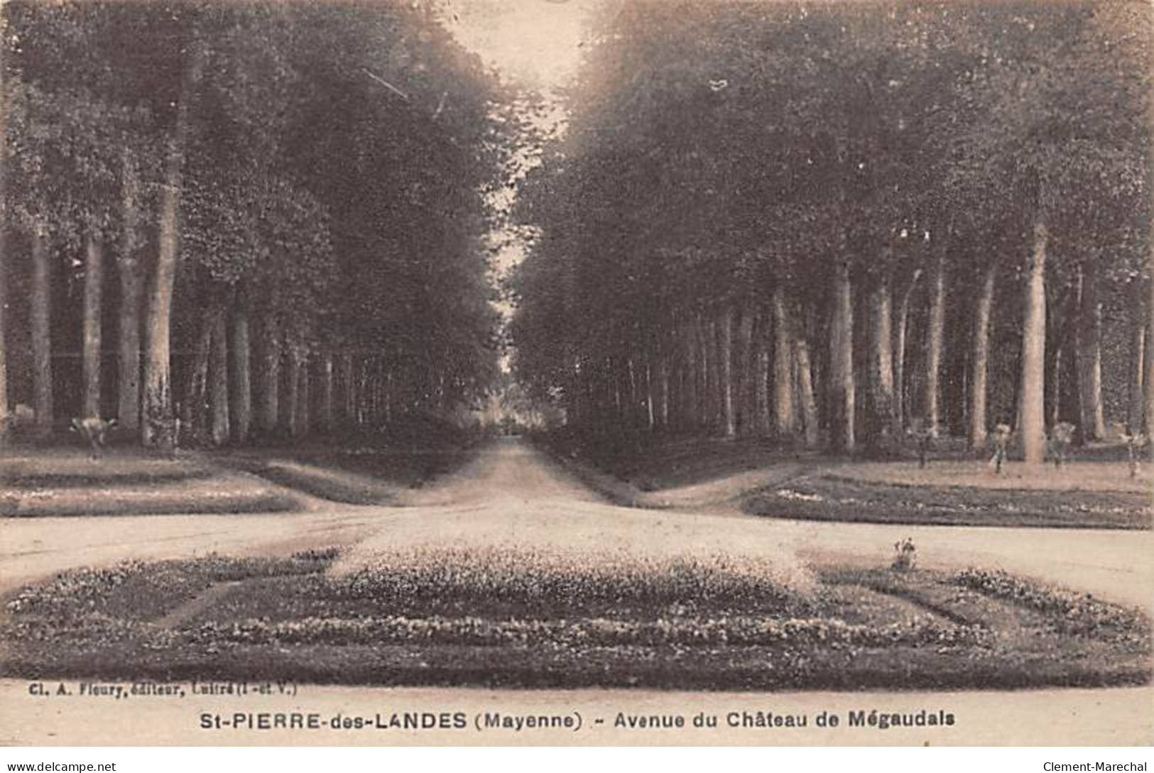SAINT PIERRE DES LANDES - Avenue Du Château De Mégaudais - Très Bon état - Autres & Non Classés