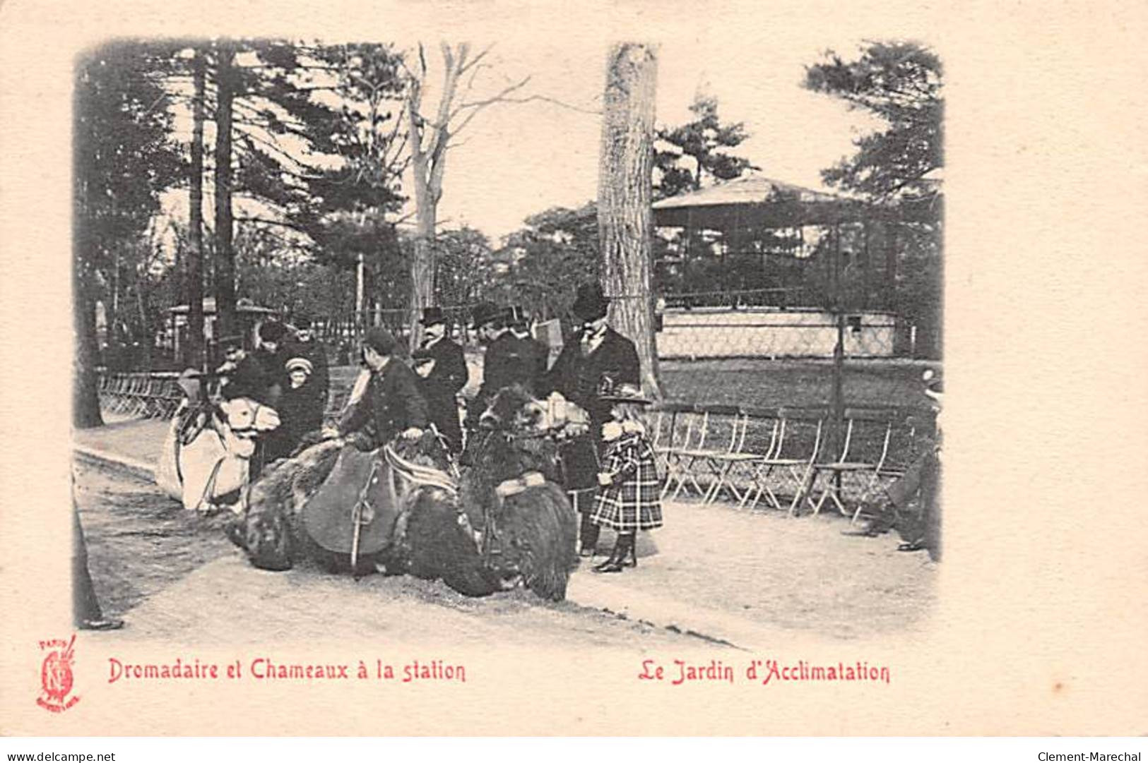 PARIS - Le Jardin D'Acclimatation - Dromadaire Et Chameaux à La Station - Très Bon état - Paris (16)