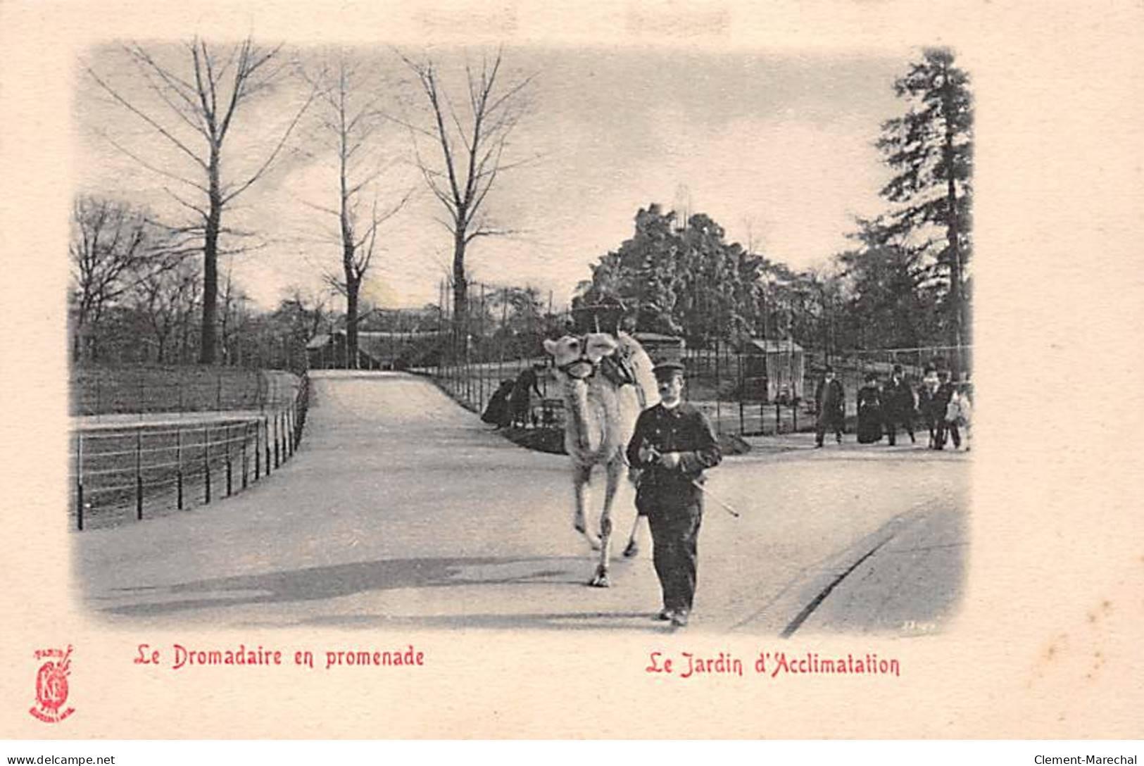 PARIS - Le Jardin D'Acclimatation - Le Dromadaire En Promenade - Très Bon état - Arrondissement: 16