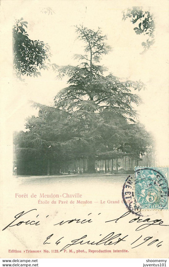 CPA Forêt De Meudon-Le Grand Cèdre-Timbre      L1796 - Meudon