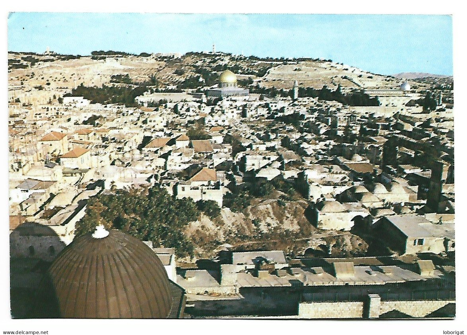 GENERAL VIEW OF THE OLD CITY.- JERUSALEM.- ( ISRAEL ) - Israel