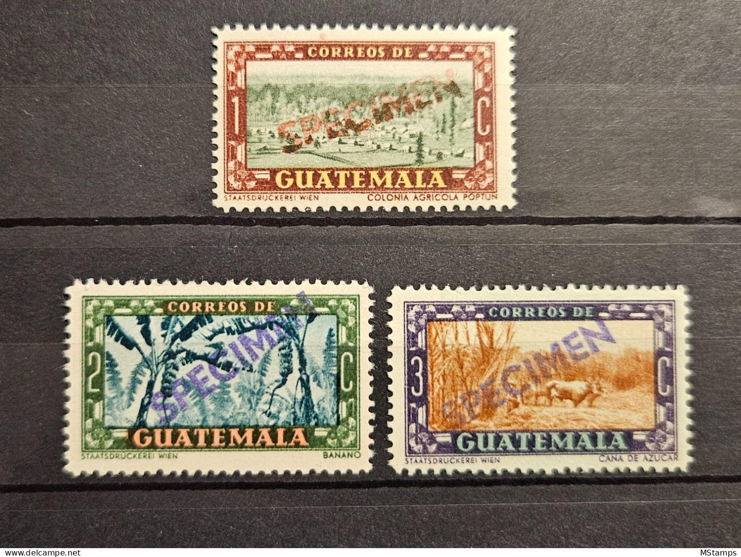 Guatemala SPECIMENS 1950 - Guatemala