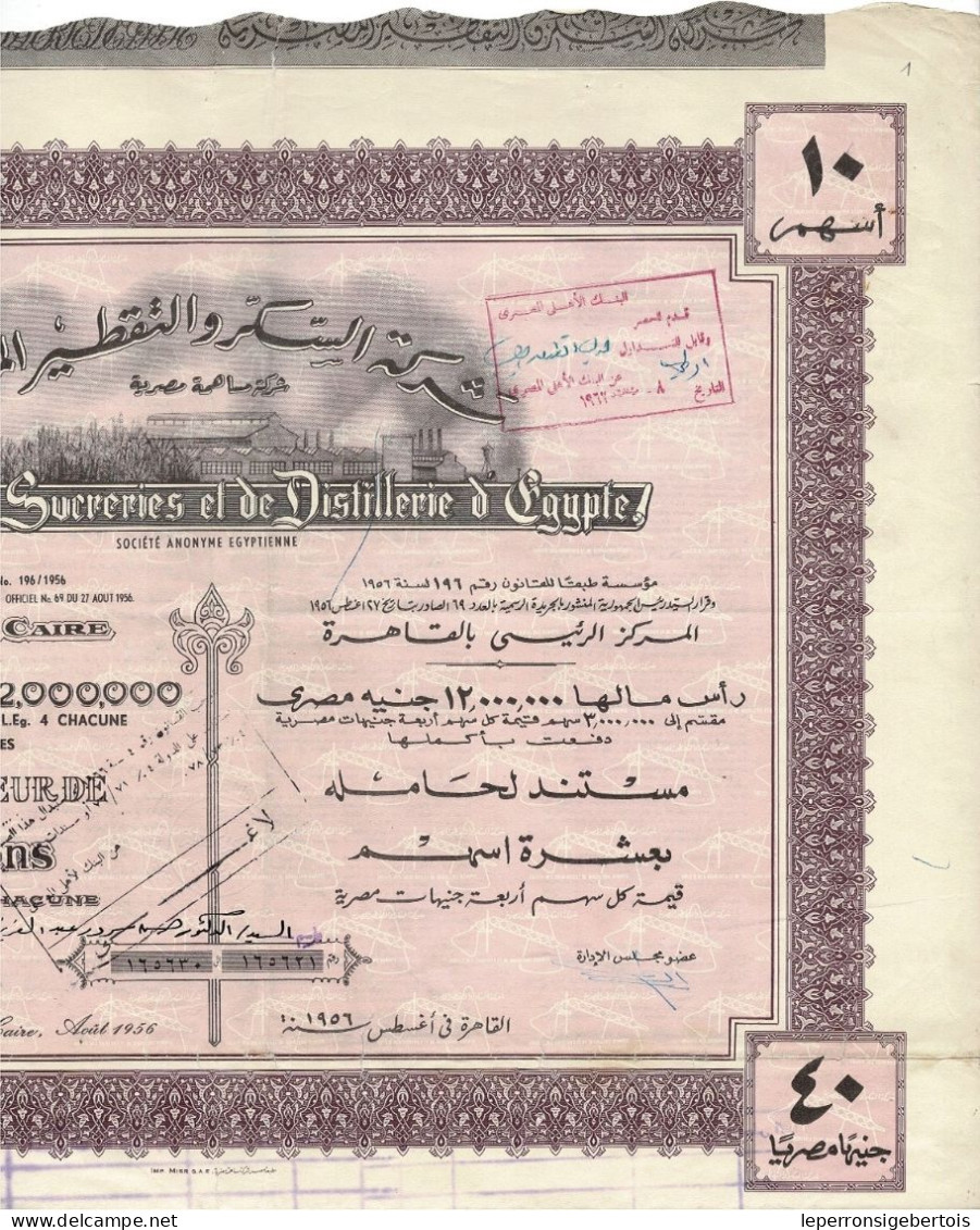 - Titre De 1956 - Sté Des Sucreries Et De Distillerie D'Egypte - Déco - VF - - Afrique