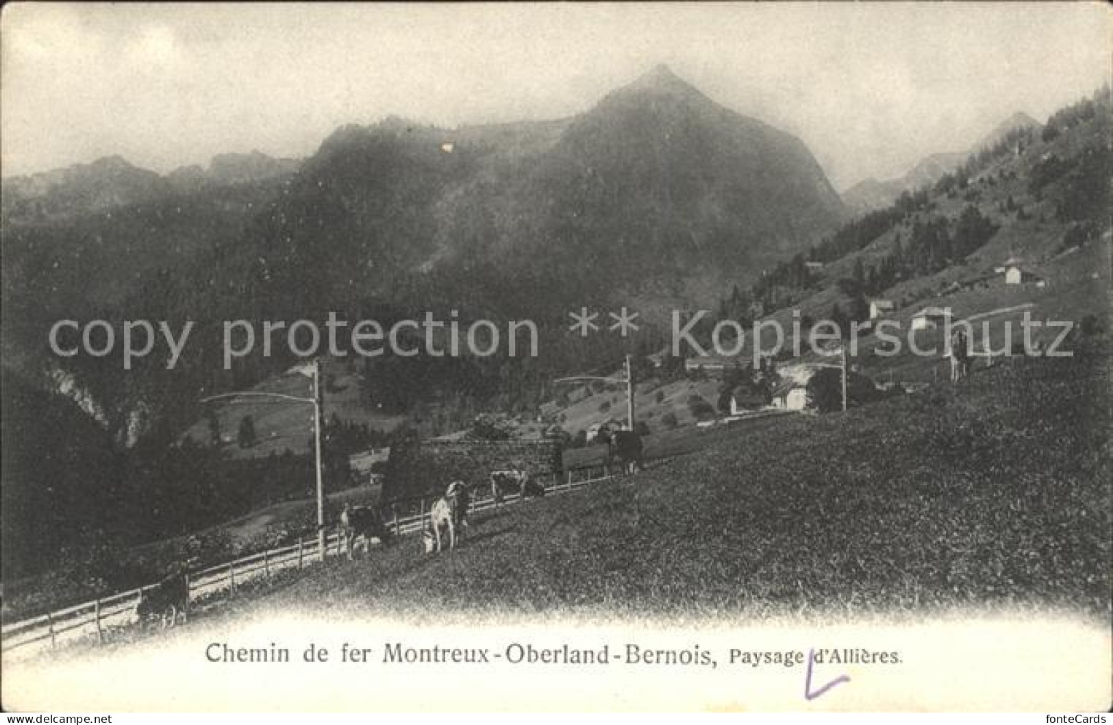 11662925 Montreux VD Chemin De Fer Kuehe Montreux - Autres & Non Classés