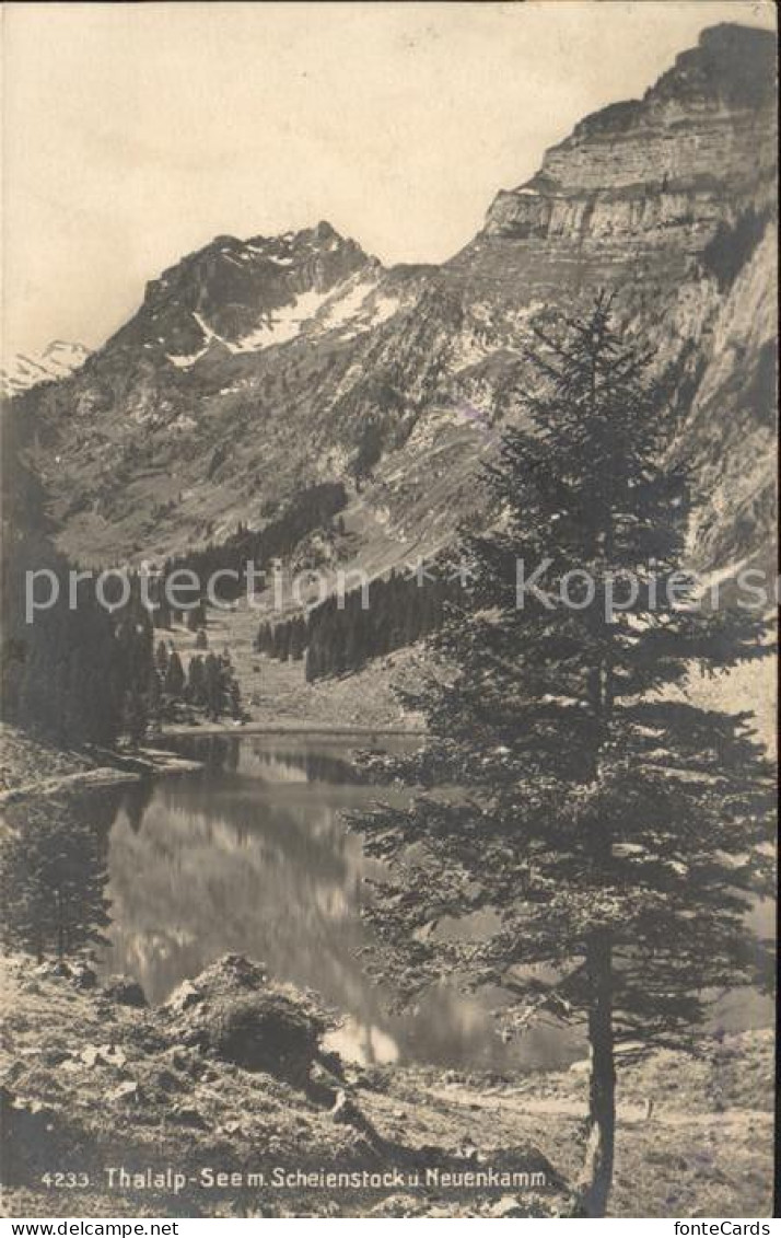 11662737 Thalalpsee Mit Scheienstock Und Neuenkamm Obstalden - Sonstige & Ohne Zuordnung