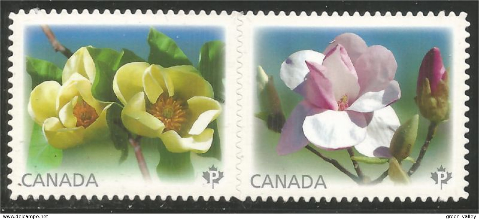 Canada Magnolias Se-tenant Carnet Booklet Annual Collection Annuelle MNH ** Neuf SC (C26-25ia) - Ongebruikt