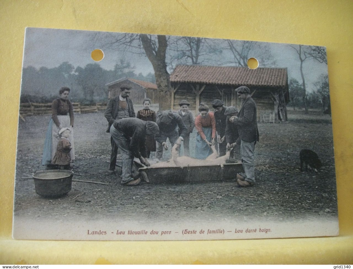 40 3412 LOT DE 5 CPA DIFFERENTES SUR (LE TUE COCHON) LEU TUOUAILLE DOU PORC (HESTE DE FAMILLE) DANS LES LANDES - Bauernhöfe