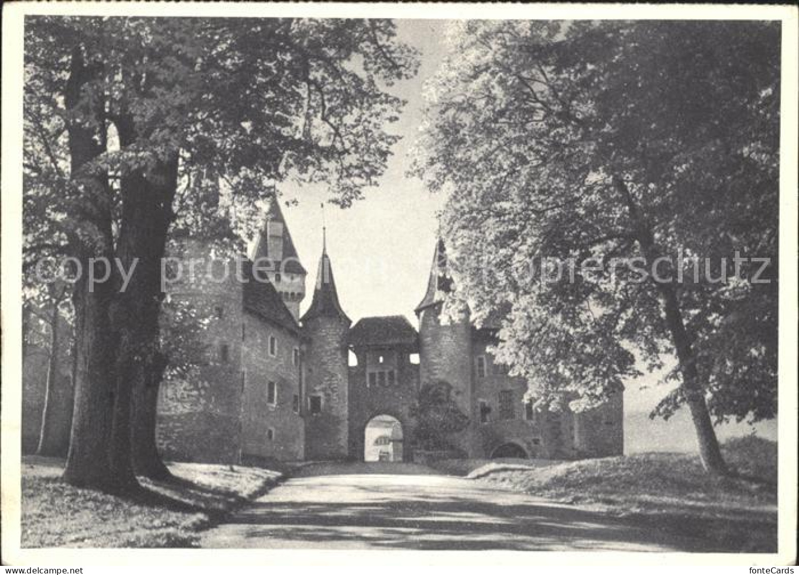 11661355 Neuchatel NE Chateau Neuchatel - Andere & Zonder Classificatie