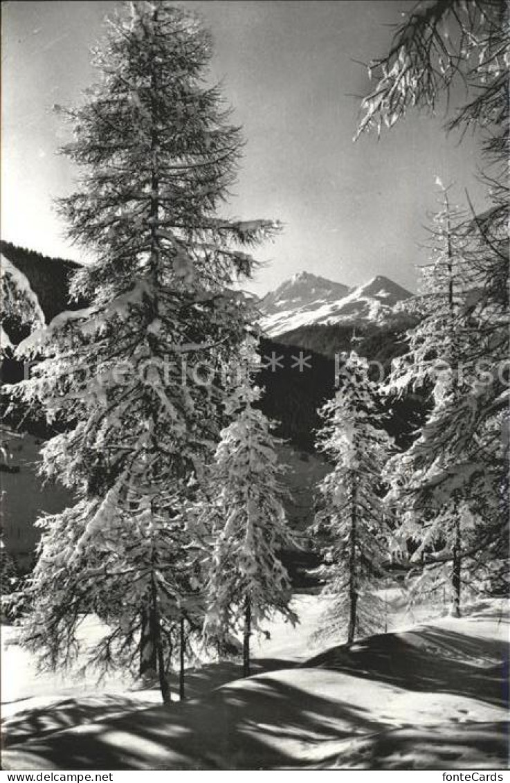 11661104 Davos GR Winterzauber Blick Auf Leidbach Und Rhinerhorn Davos Platz - Autres & Non Classés