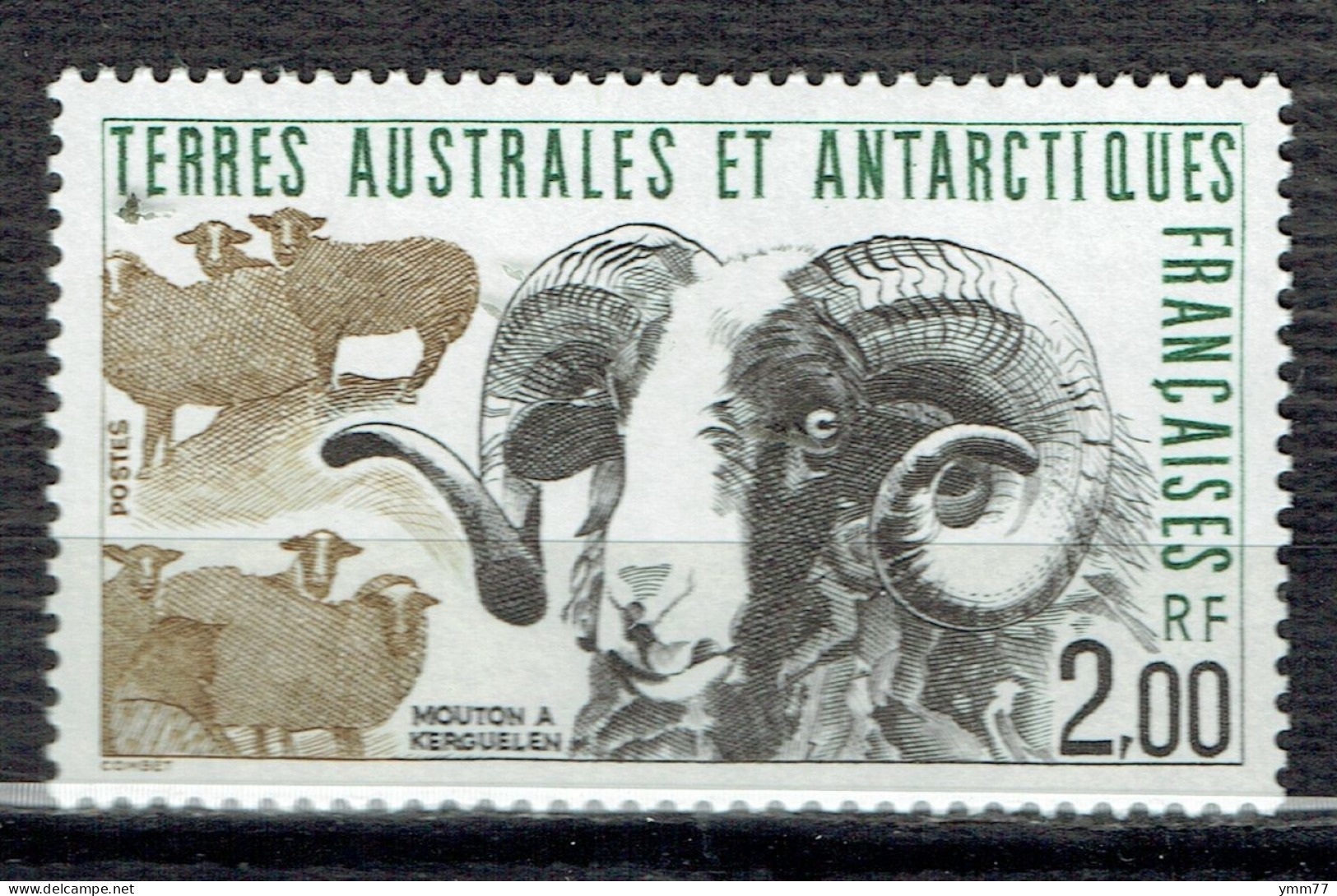 Faune : Mouton De Kerguelen - Unused Stamps