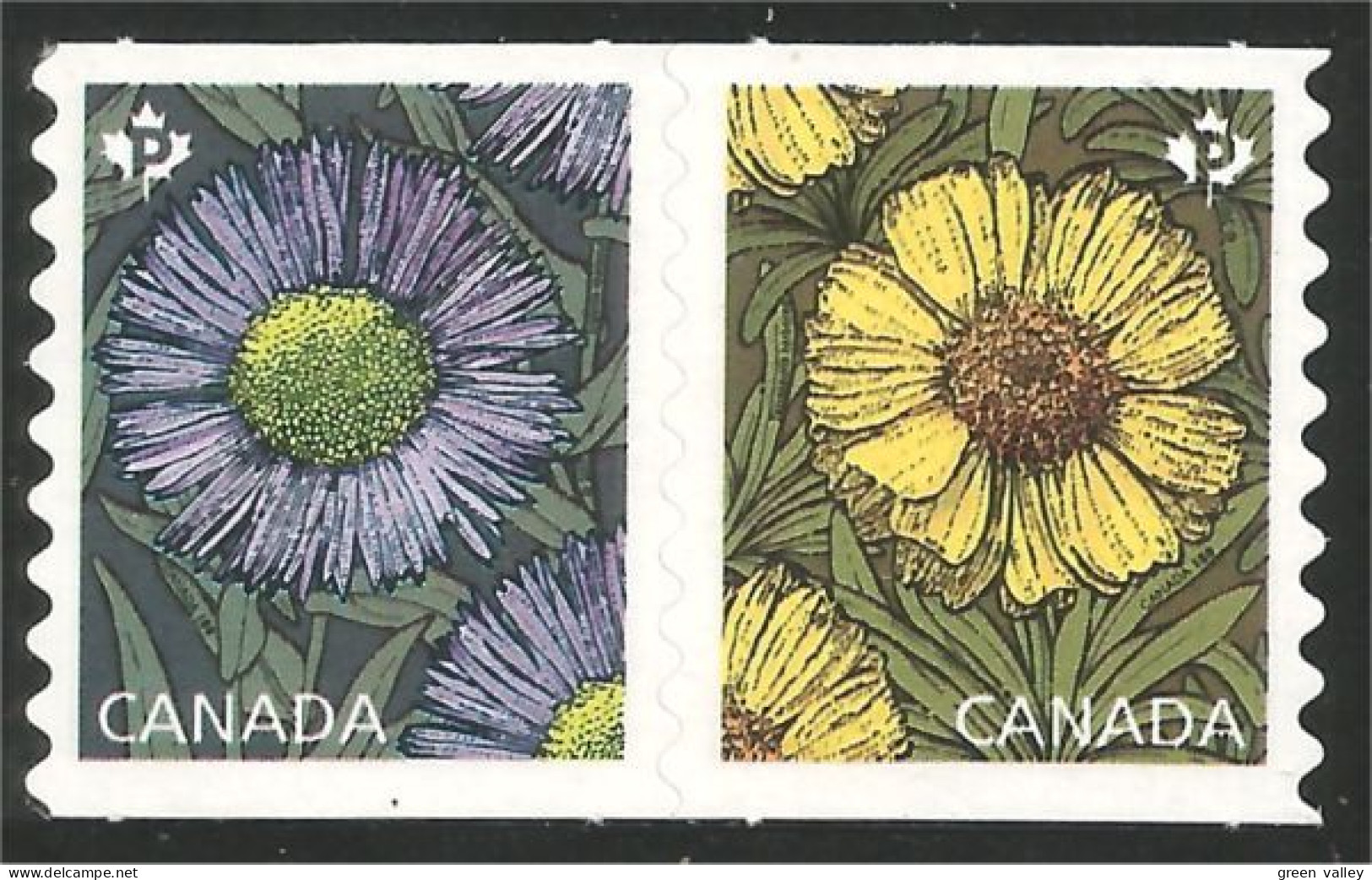 Canada Daisies Marguerites Coil Roulette Annual Collection Annuelle MNH ** Neuf SC (C29-78ii) - Nuevos