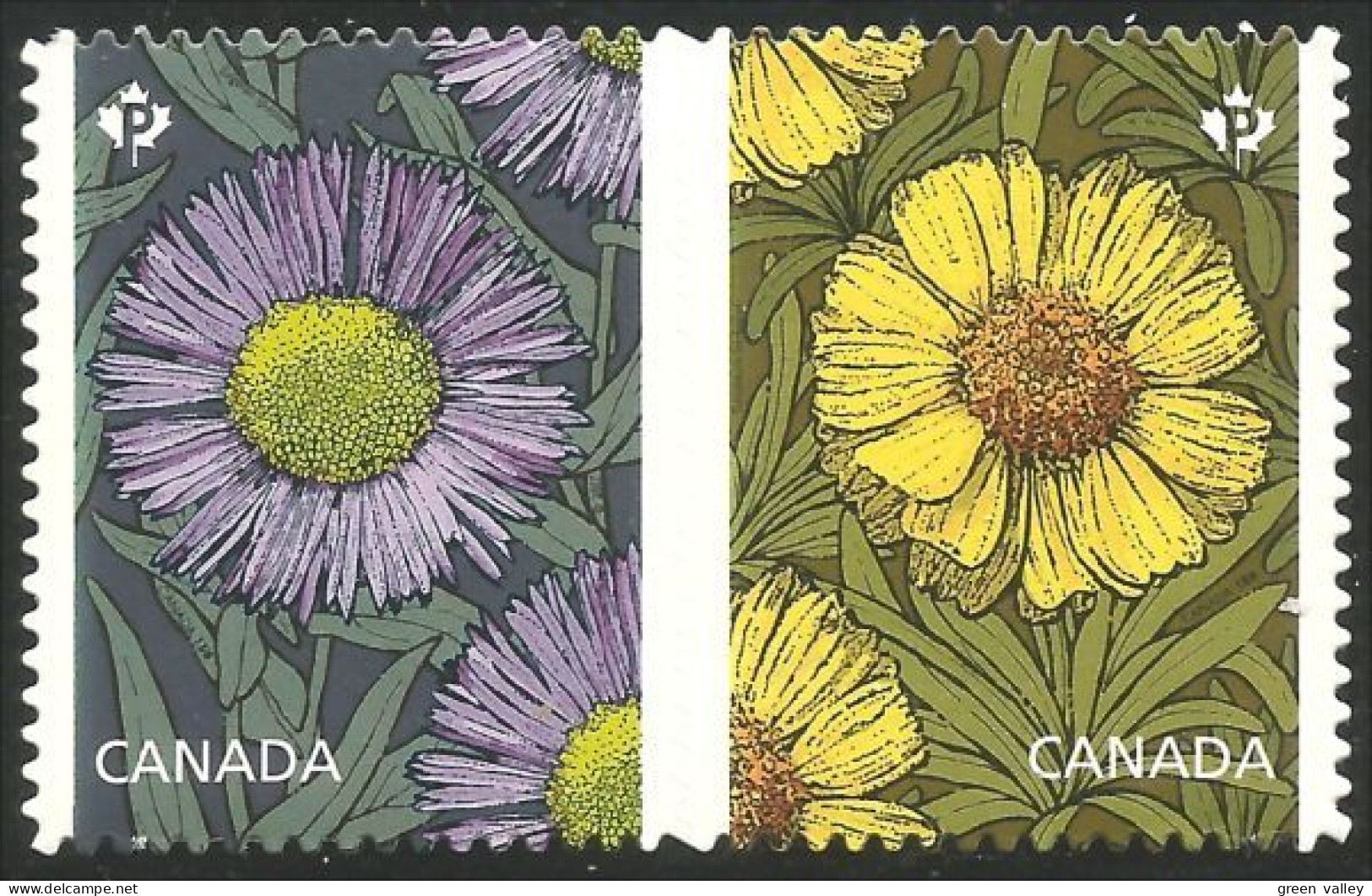 Canada Daisies Marguerites Annual Collection Annuelle MNH ** Neuf SC (C29-80i) - Nuovi