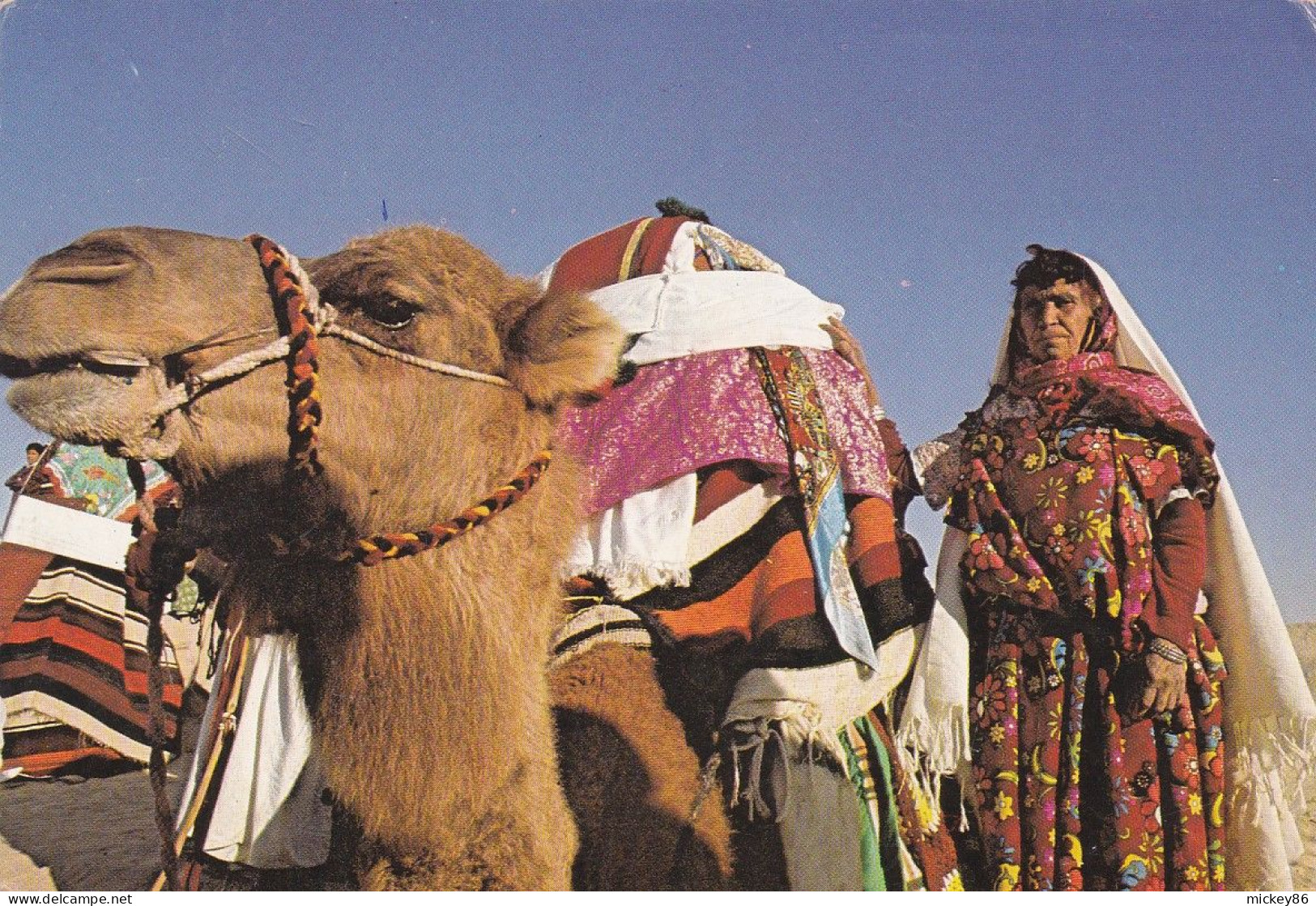 Tunisie--- Sud Tunisien --Palanguiin De Mariage Traditionnel ( Animée , Chameau) ....beaux Timbres.....cachet - Tunisie