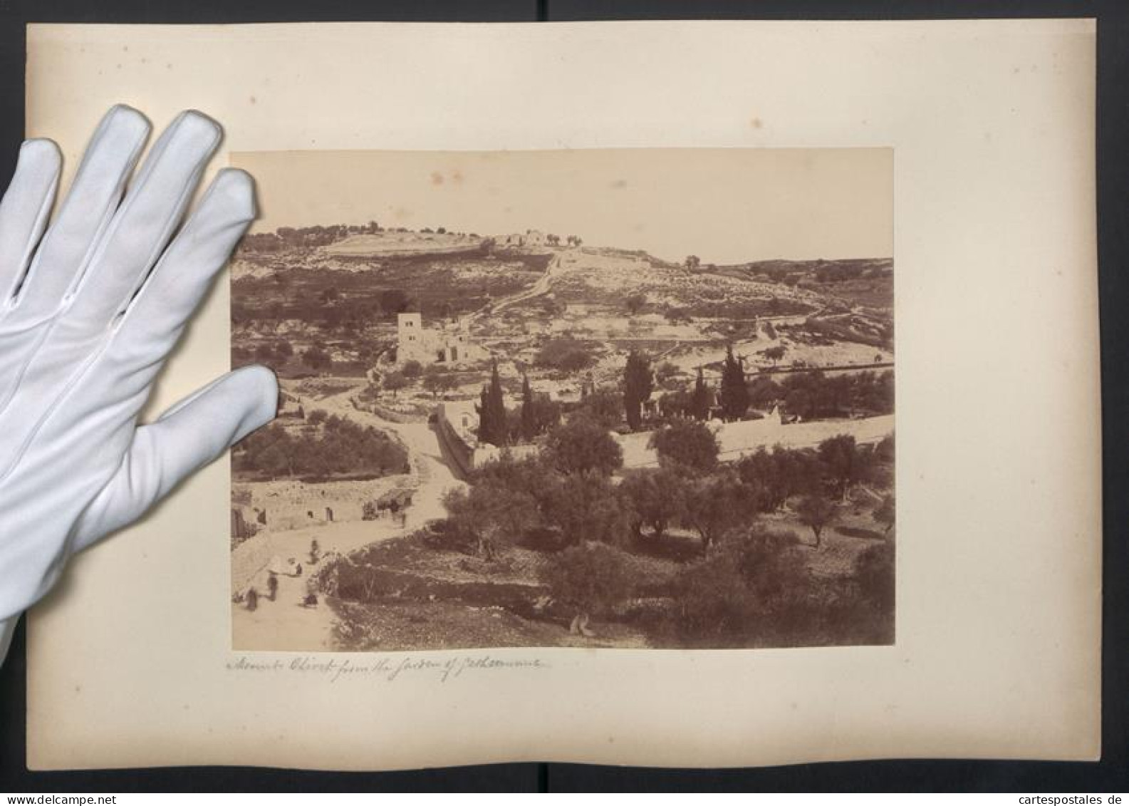 Fotografie Unbekannter Fotograf, Ansicht Jerusalem, Blick Nach Dem Örber Mit Garten Getsemani  - Places