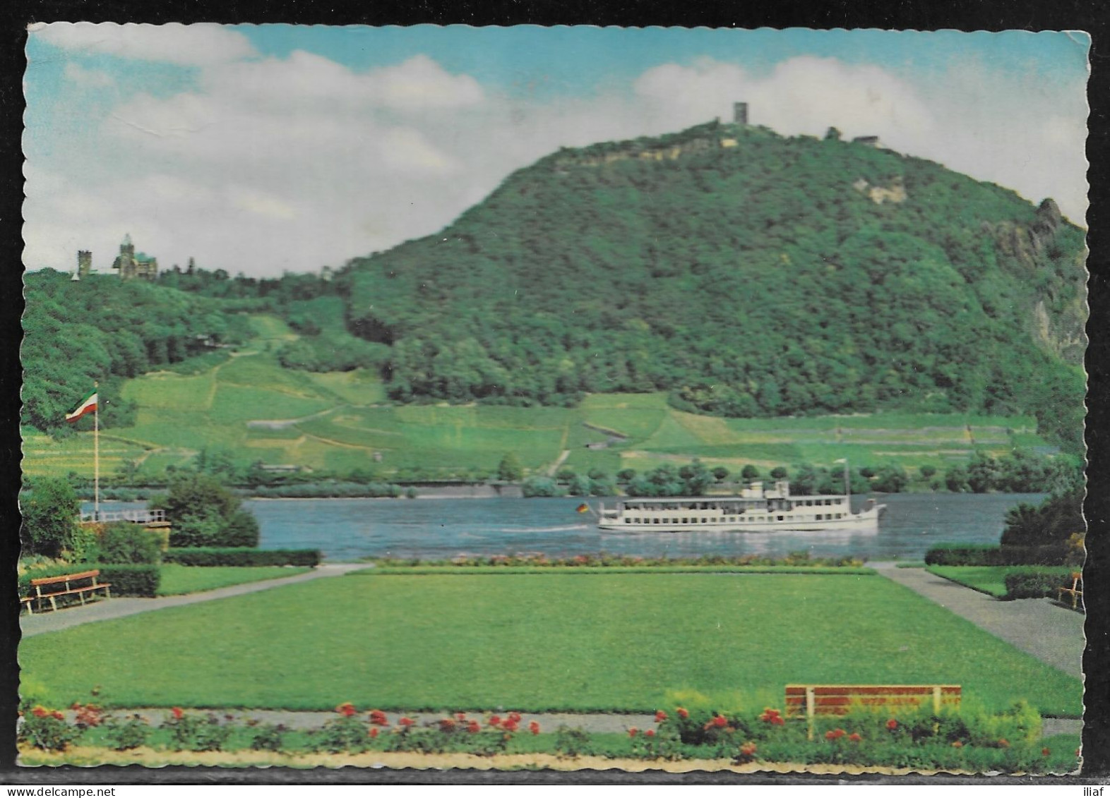 Germany.   Rhein Drachenfels.  Illustrated View Posted Postcard - Königswinter