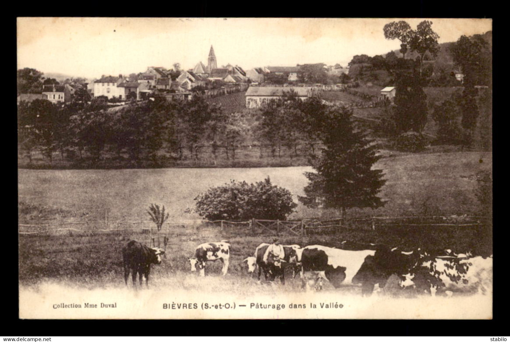 91 - BIEVRES - VACHES AU PATURAGE DANS LA VALLEE - Bievres