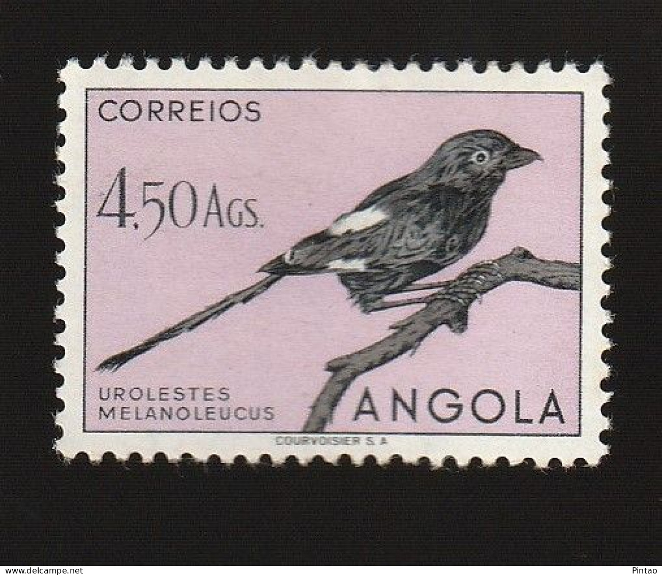 AG1820- ANGOLA 1951 Nº 338- MNH - Angola