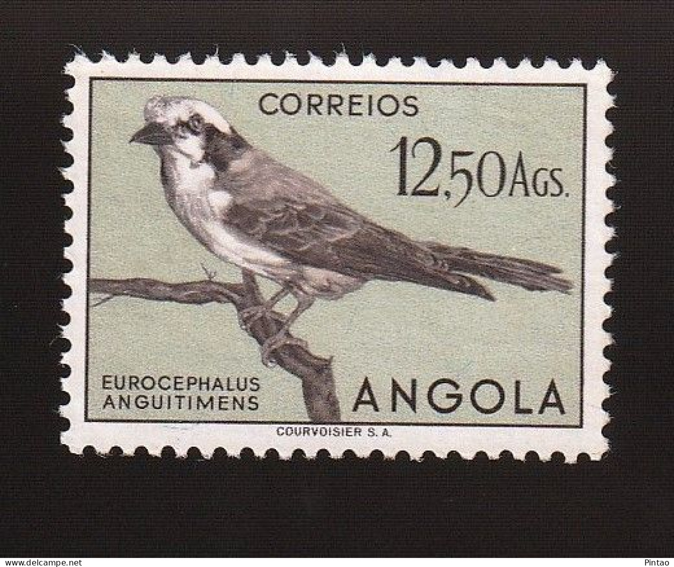 AG1822- ANGOLA 1951 Nº 343- MNG - Angola