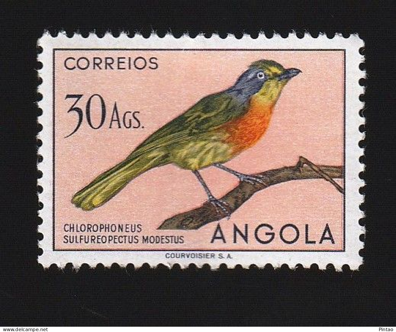 AG1824- ANGOLA 1951 Nº 347- MNH - Angola