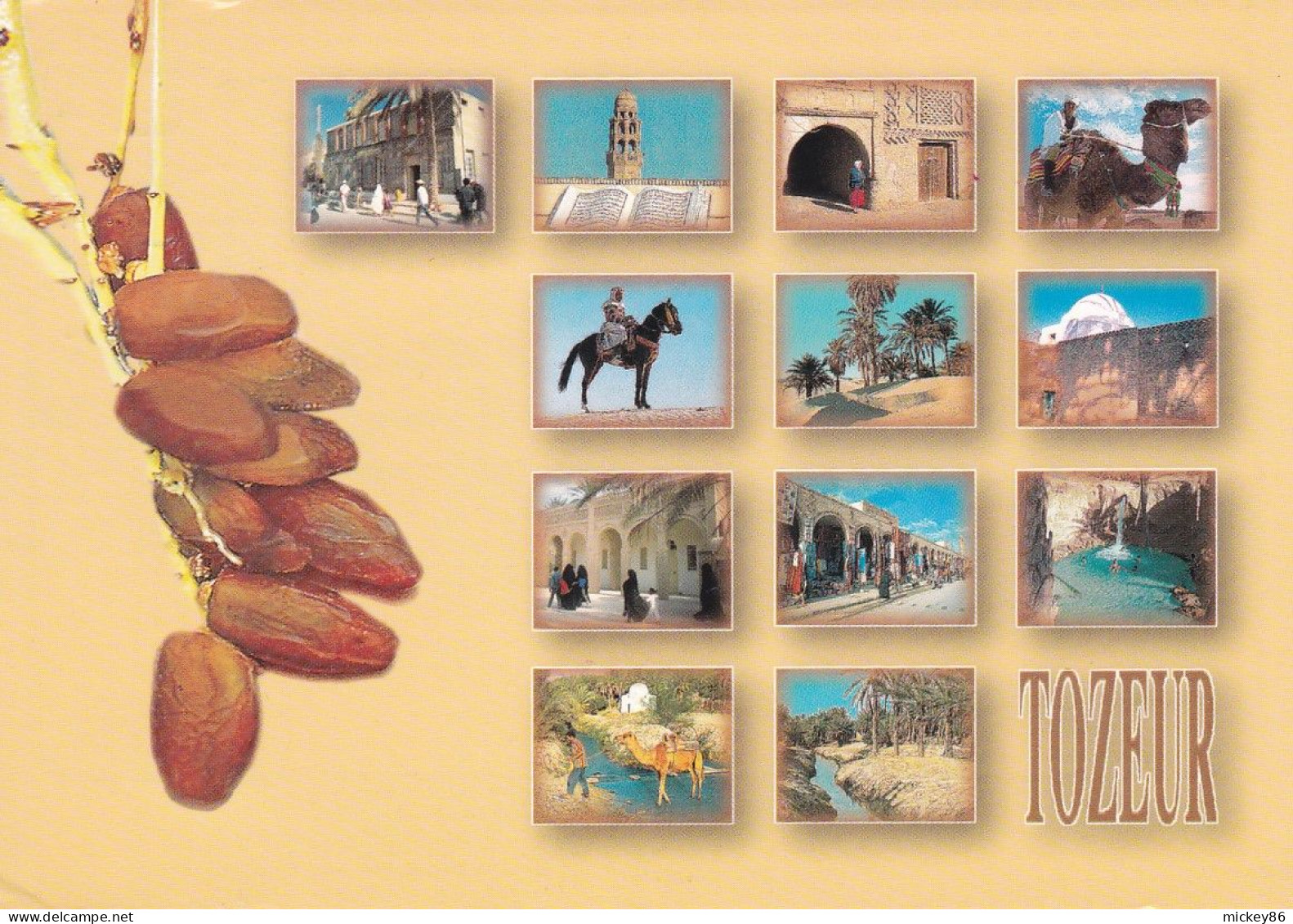 Tunisie--- TOZEUR --1999 -- TOZEUR -- Multivues .... Beau Timbre   .....cachet - Tunisie