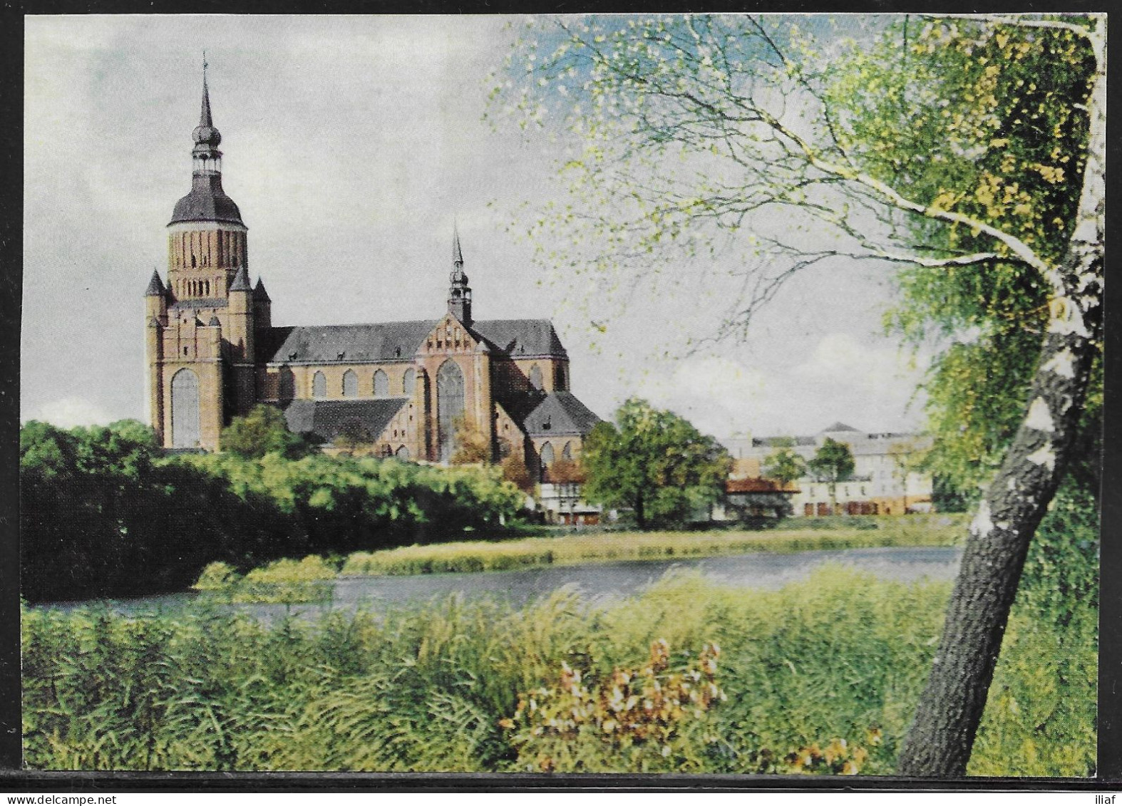 Germany.   Stralsund. The Marienkirche. Illustrated View Posted Postcard - Stralsund