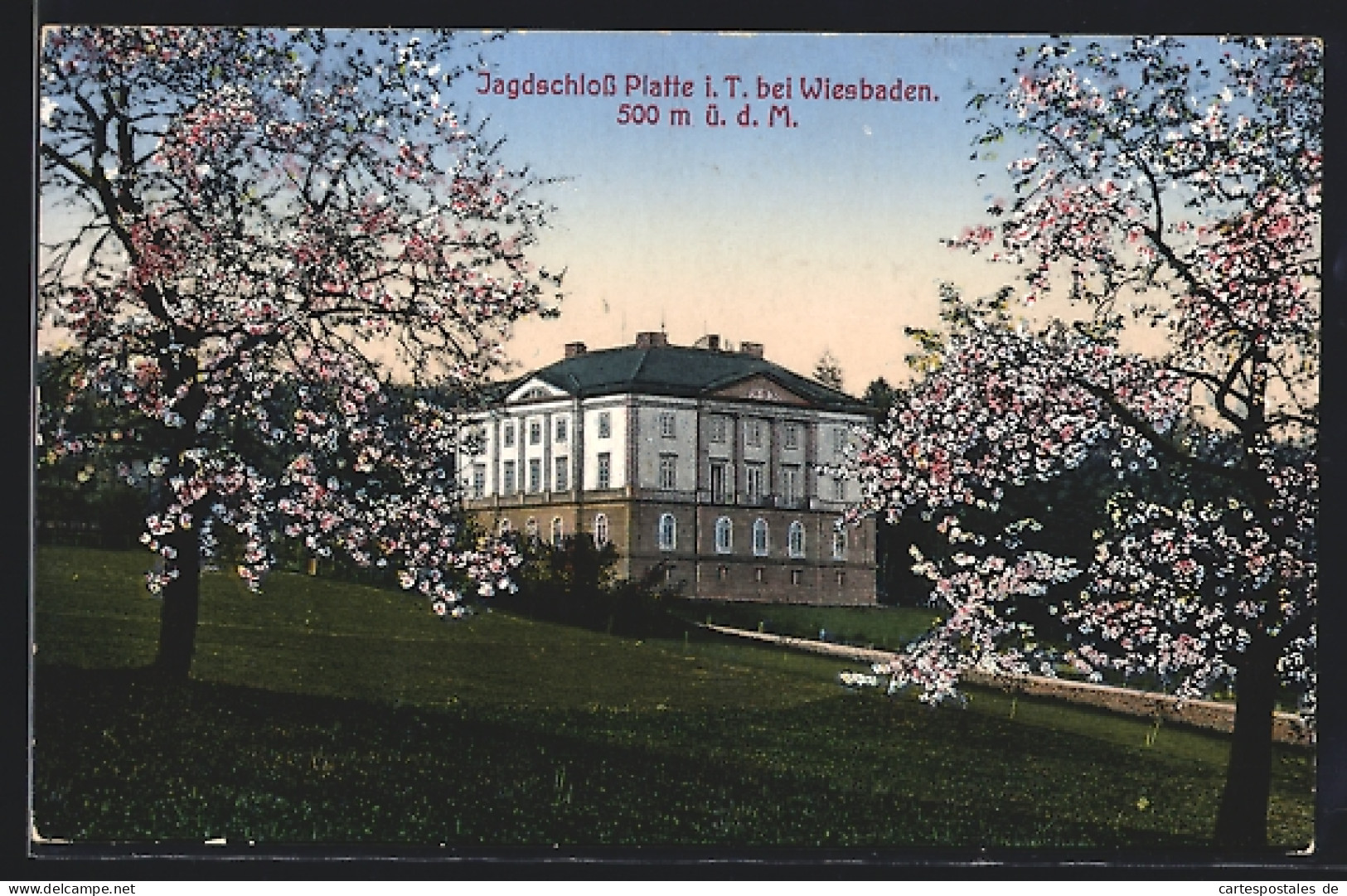 AK Wiesbaden, Hotel Forsthaus Platte  - Hunting