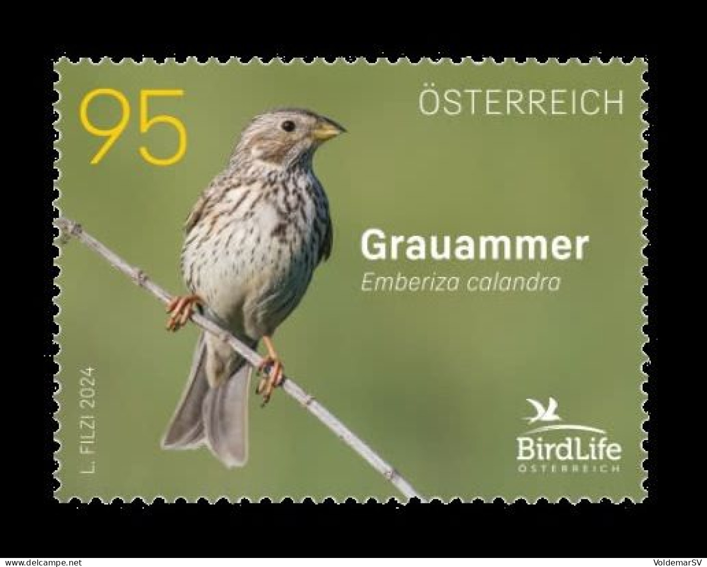 Austria 2024 Mih. 3785 Fauna. Birds. Corn Bunting MNH ** - Ungebraucht