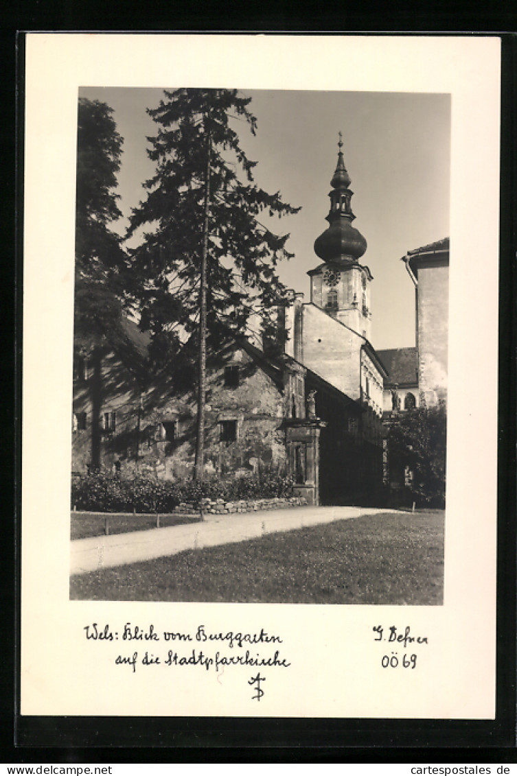 Foto-AK Adalbert Defner: Wels, Blick Vom Burggarten Auf Die Stadtpfarrkirche  - Sonstige & Ohne Zuordnung