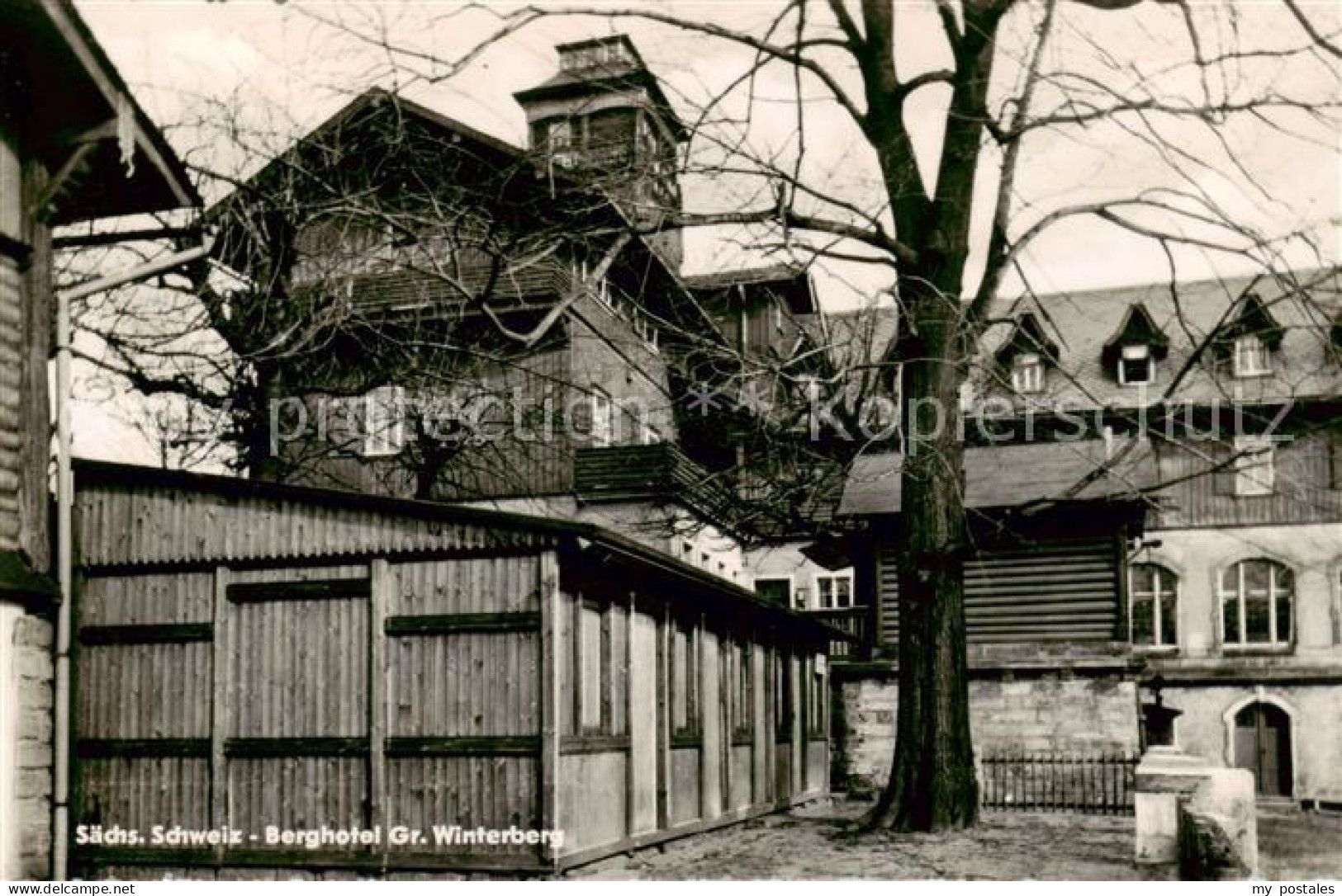 73795519 Grosser Winterberg Saechsische Schweiz Berghotel Grosser Winterberg  - Bad Schandau