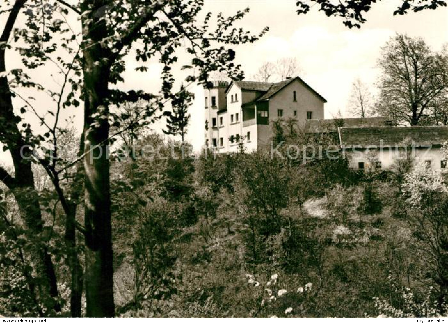 73283016 Grafenau Niederbayern Haus Baernstein Grafenau Niederbayern - Sonstige & Ohne Zuordnung