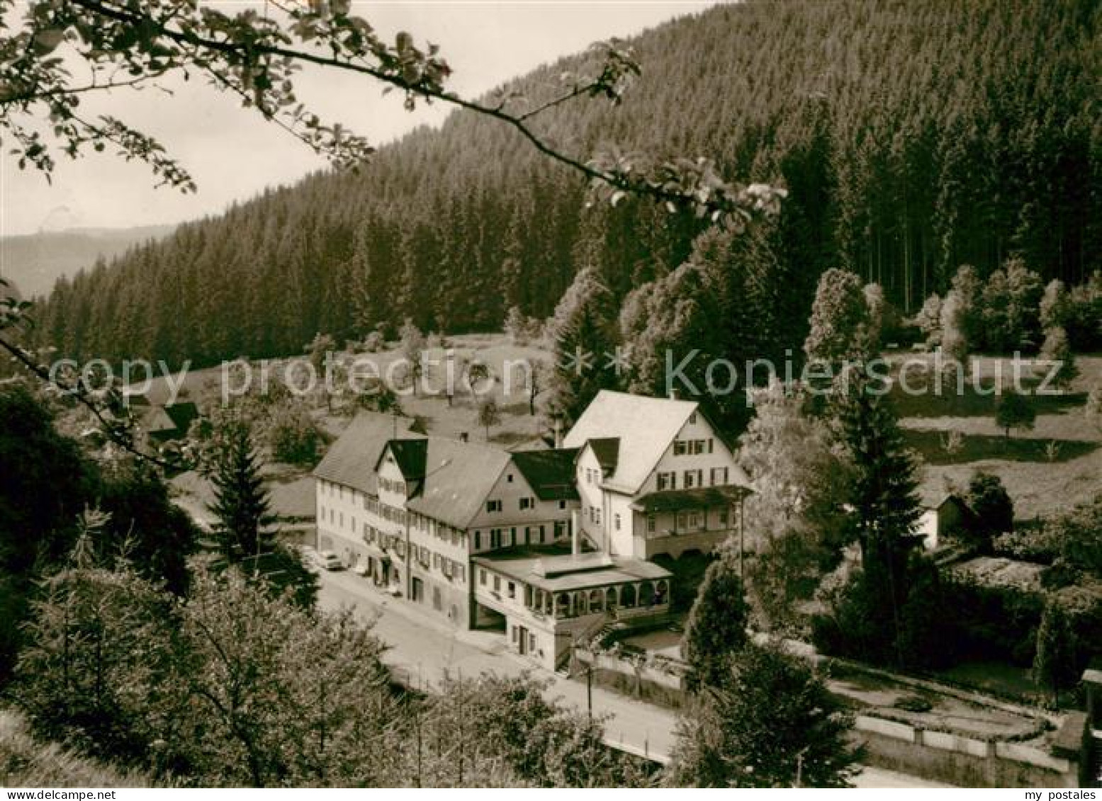 73282623 Berneck Alpirsbach Gasthof Waldhorn Berneck Alpirsbach - Alpirsbach